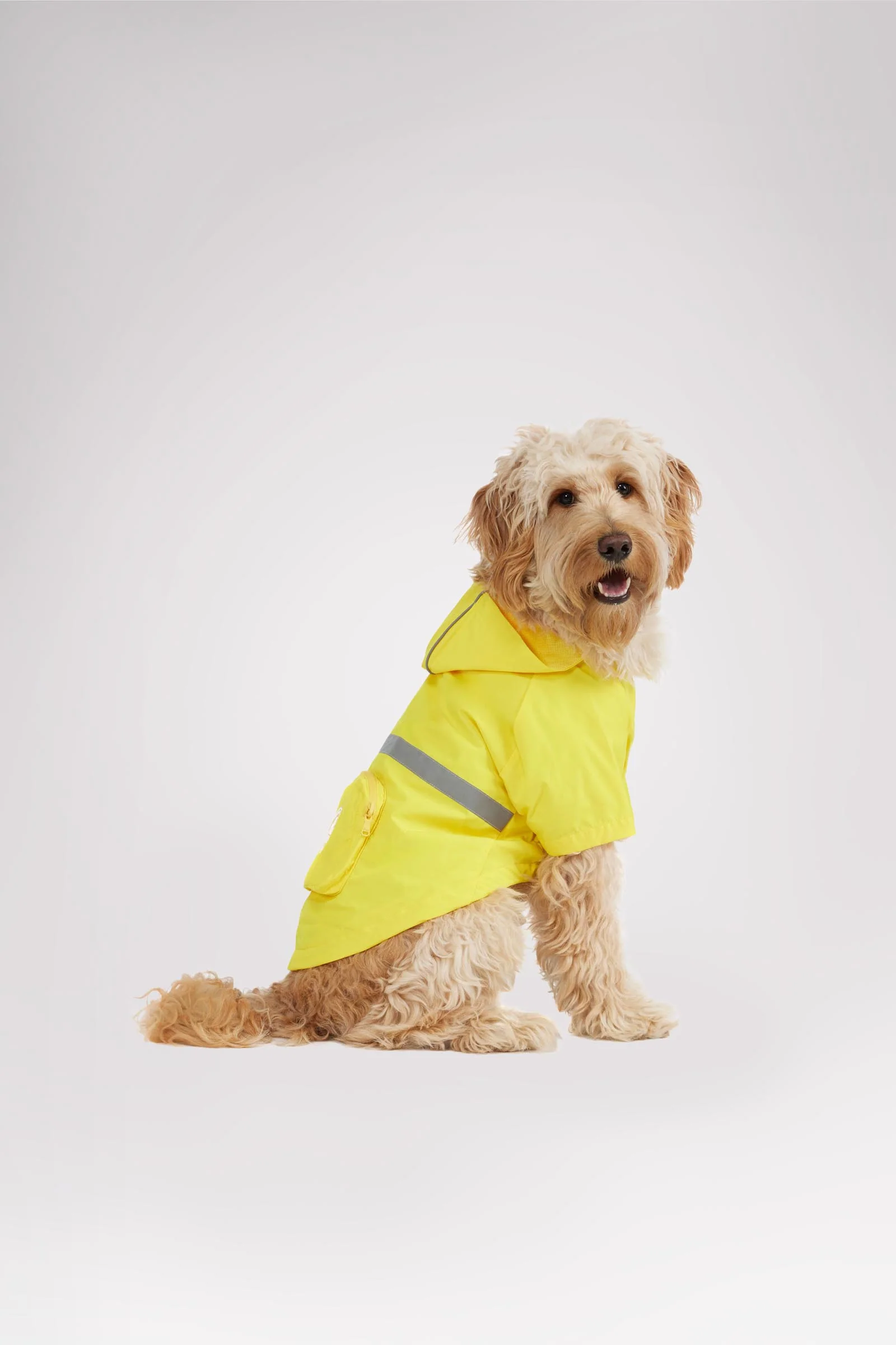 Neo reflective Rain Jacket for Dogs