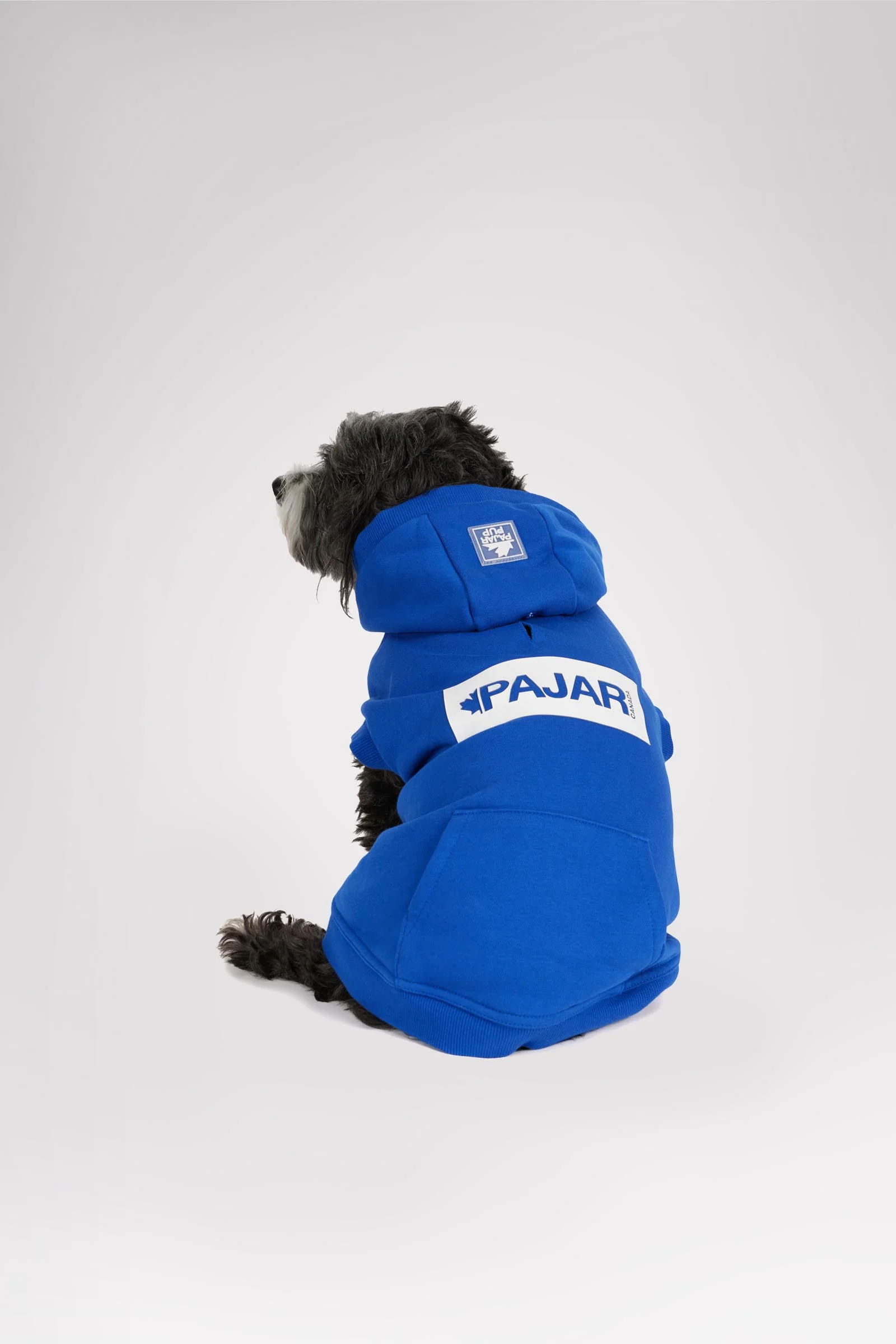 Dash Hoodie for Dogs