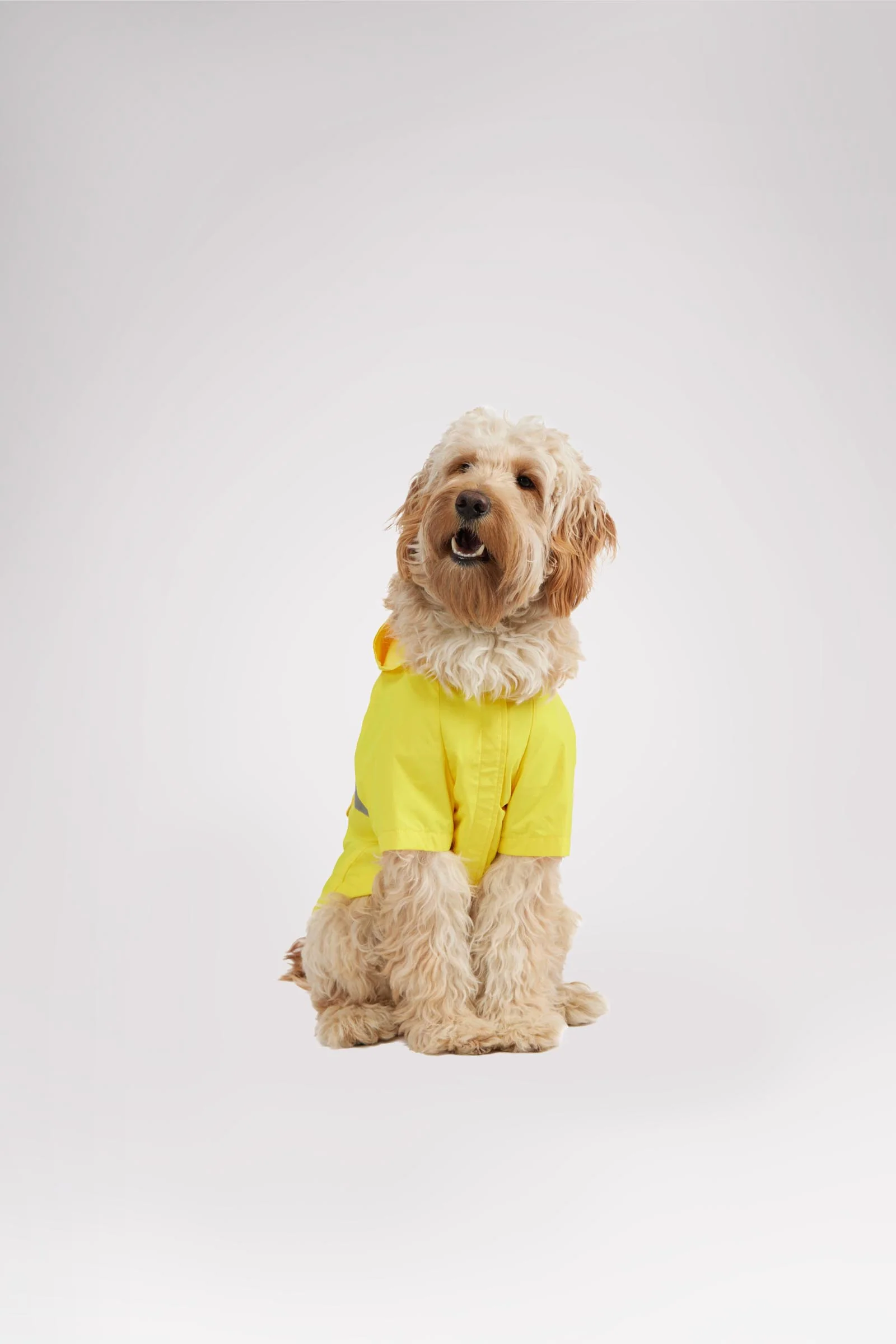 Neo reflective Rain Jacket for Dogs