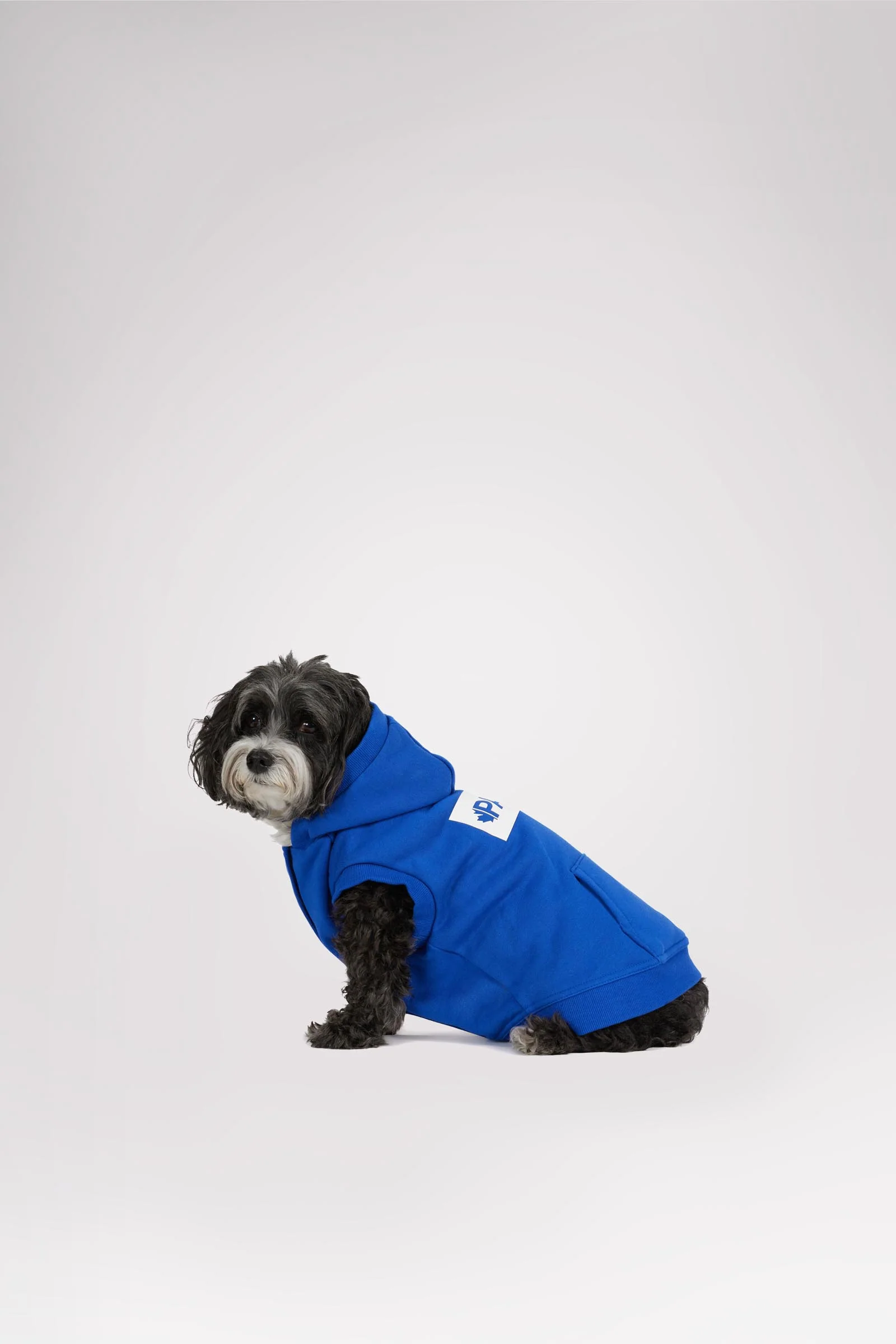 Dash Hoodie for Dogs