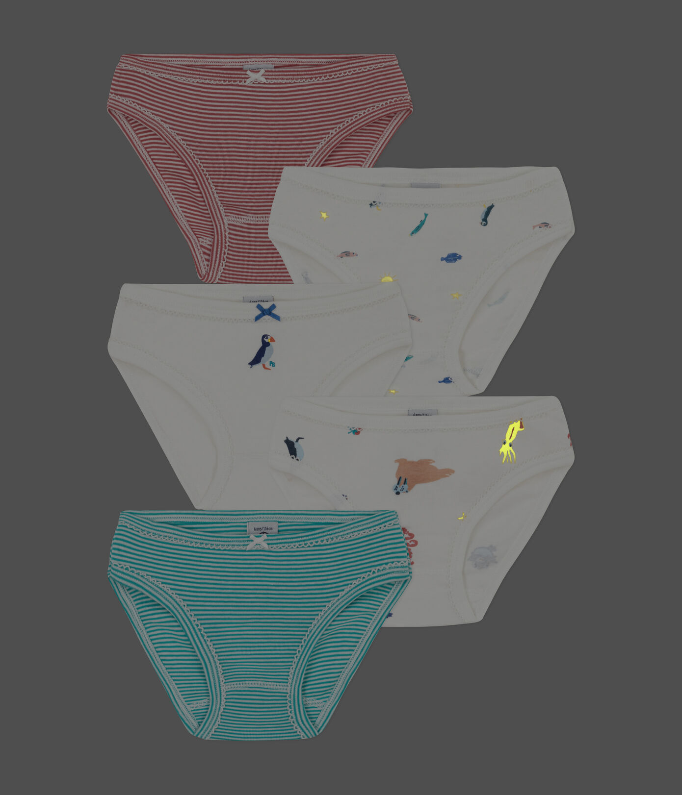 Lot de 5 culottes en coton petite fille