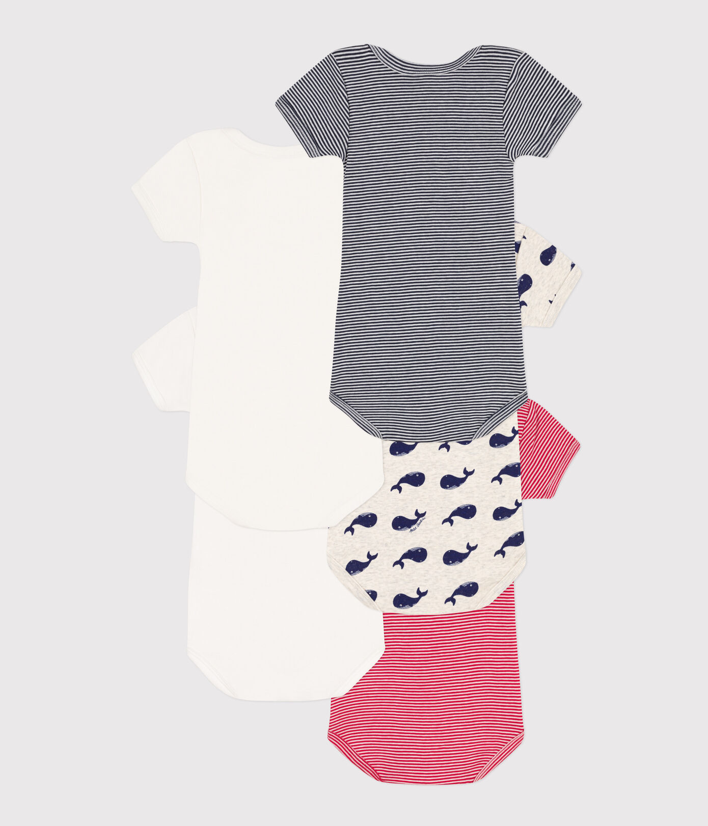 Lot de 5 bodies manches courtes baleines en coton