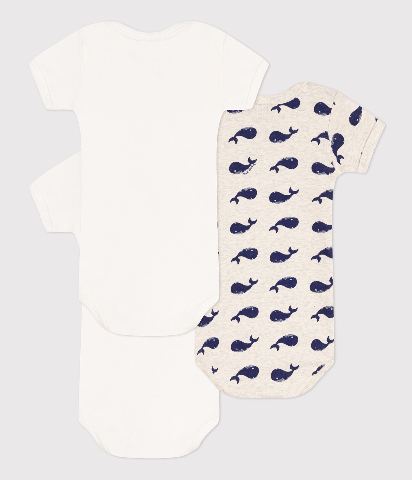 Lot de 3 bodies manches courtes baleines en coton