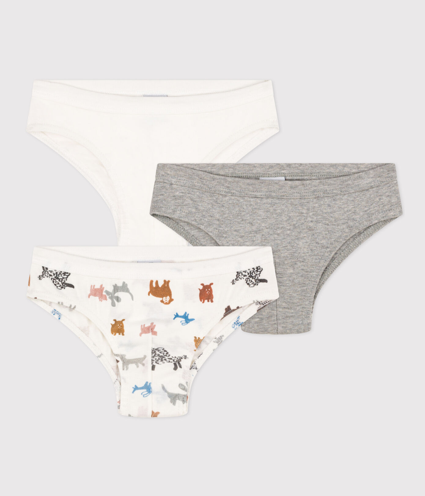 Lot de 3 slips chien en coton petit garon