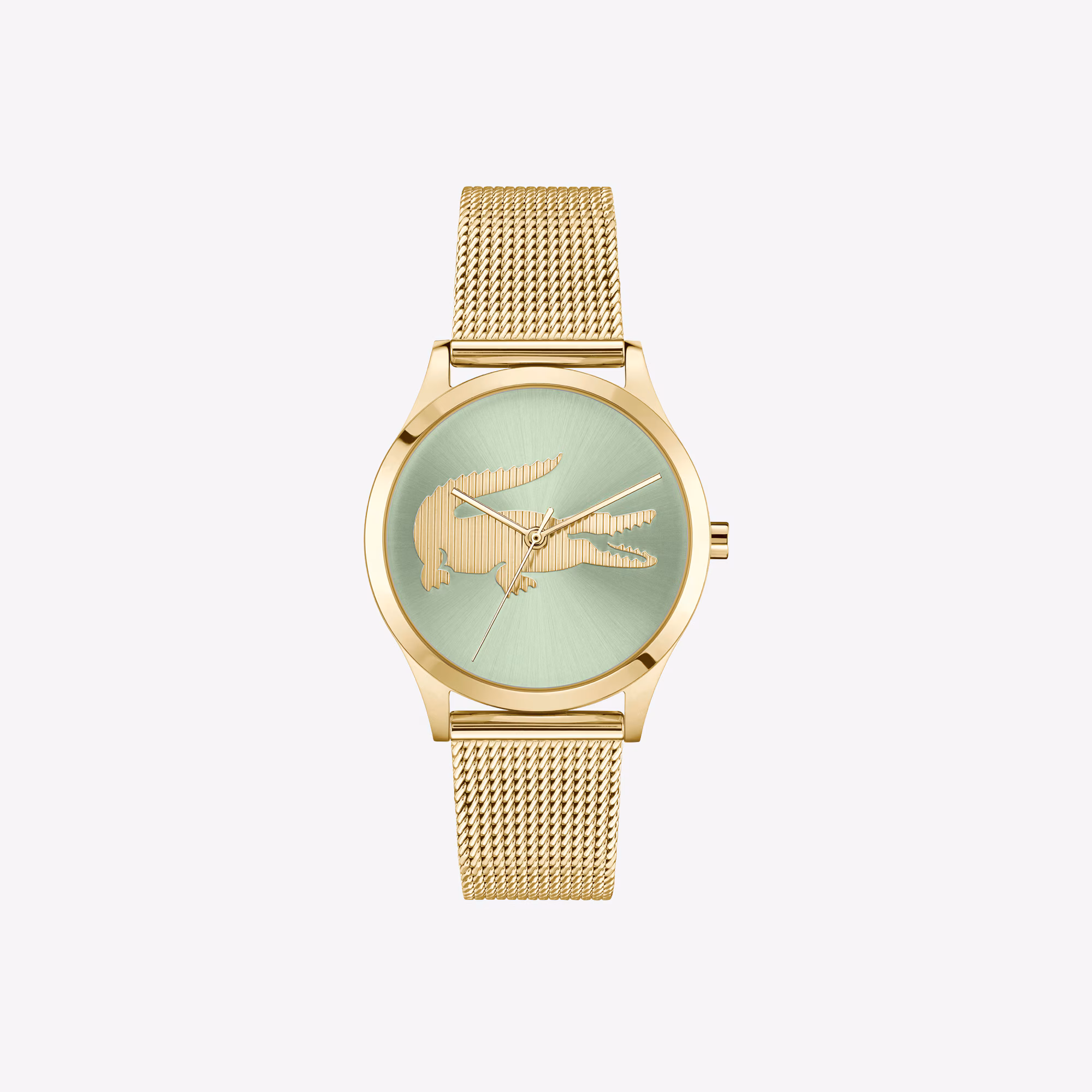 Crocodelle Steel Watch