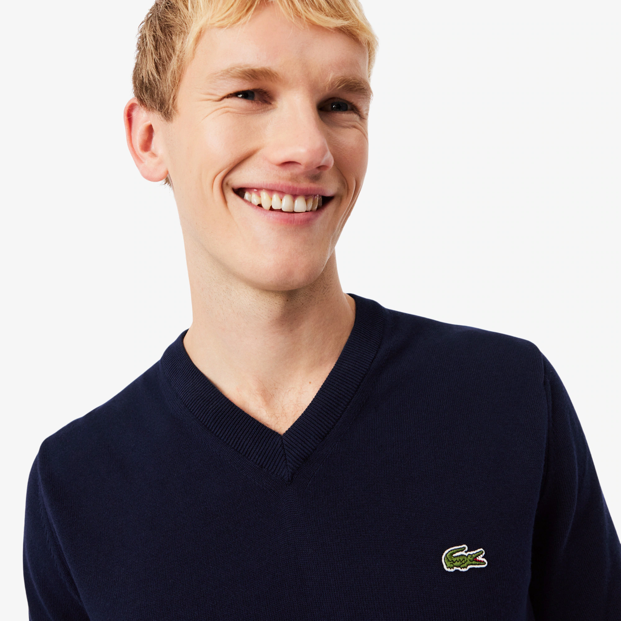 Men's Cotton V-Neck Sweater