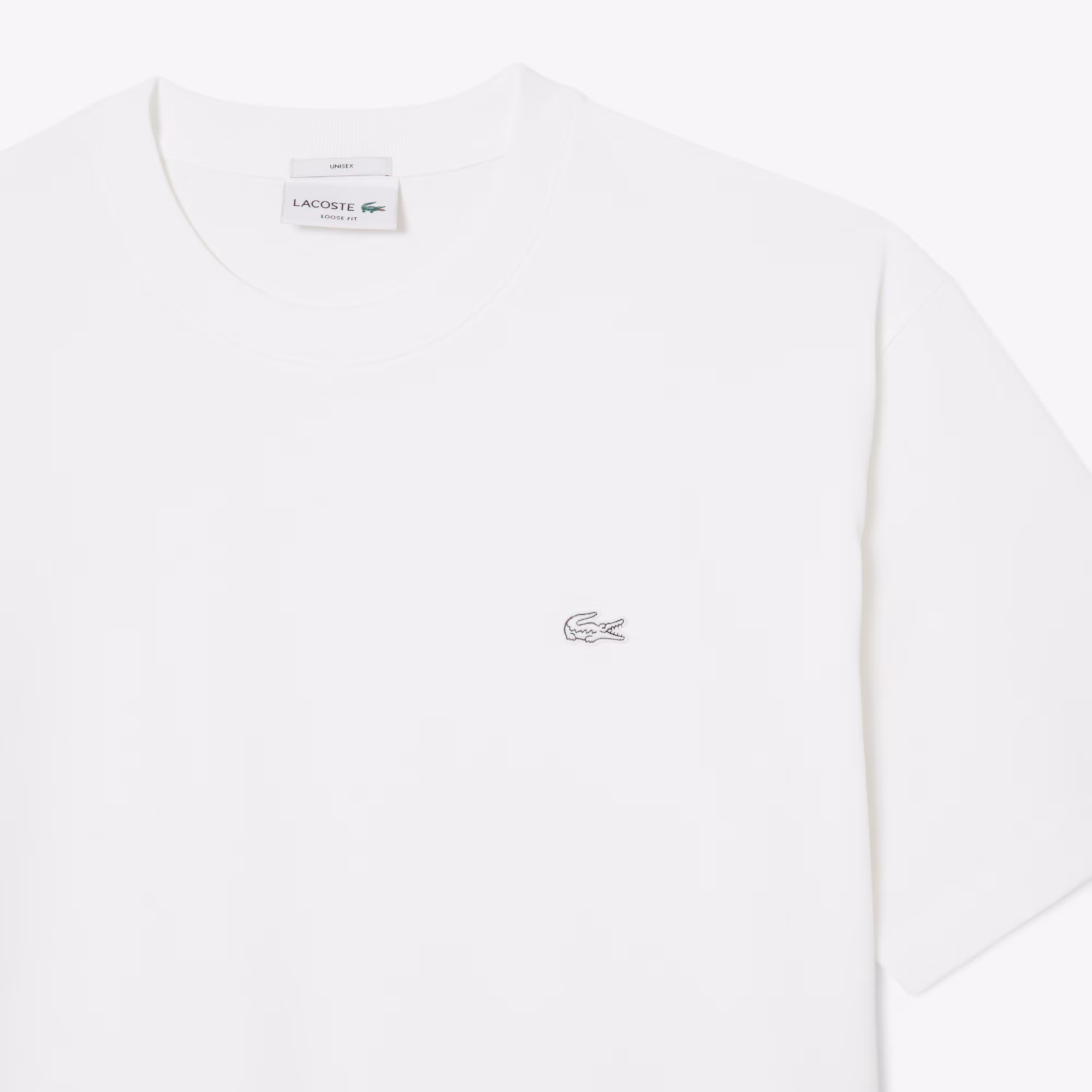 Unisex Loose Fit Heavy Jersey T-Shirt