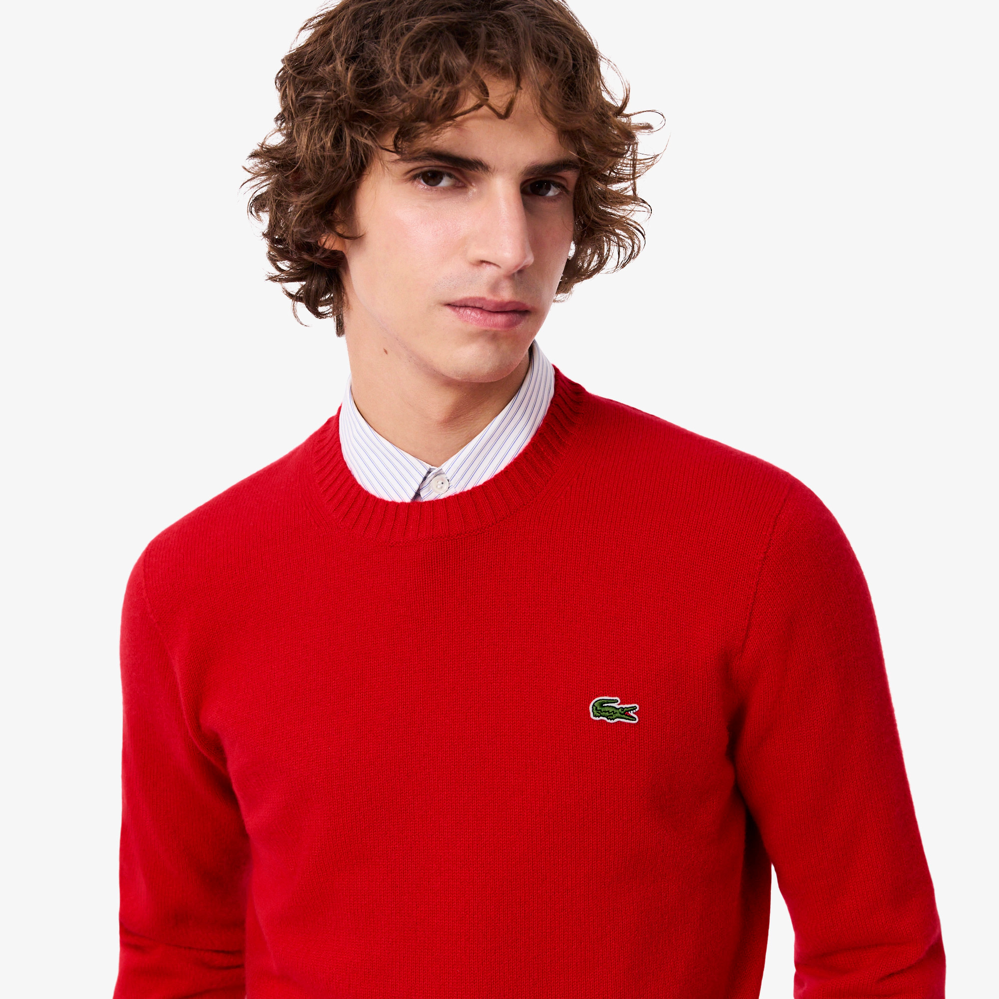 Men's 3D Knit Cashmere Crew Neck Sweater