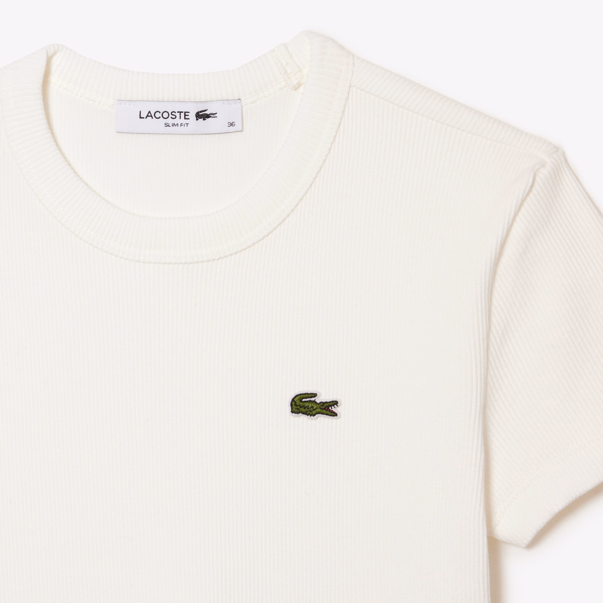 Women's Slim Fit Ribbed Cotton T-Shirt