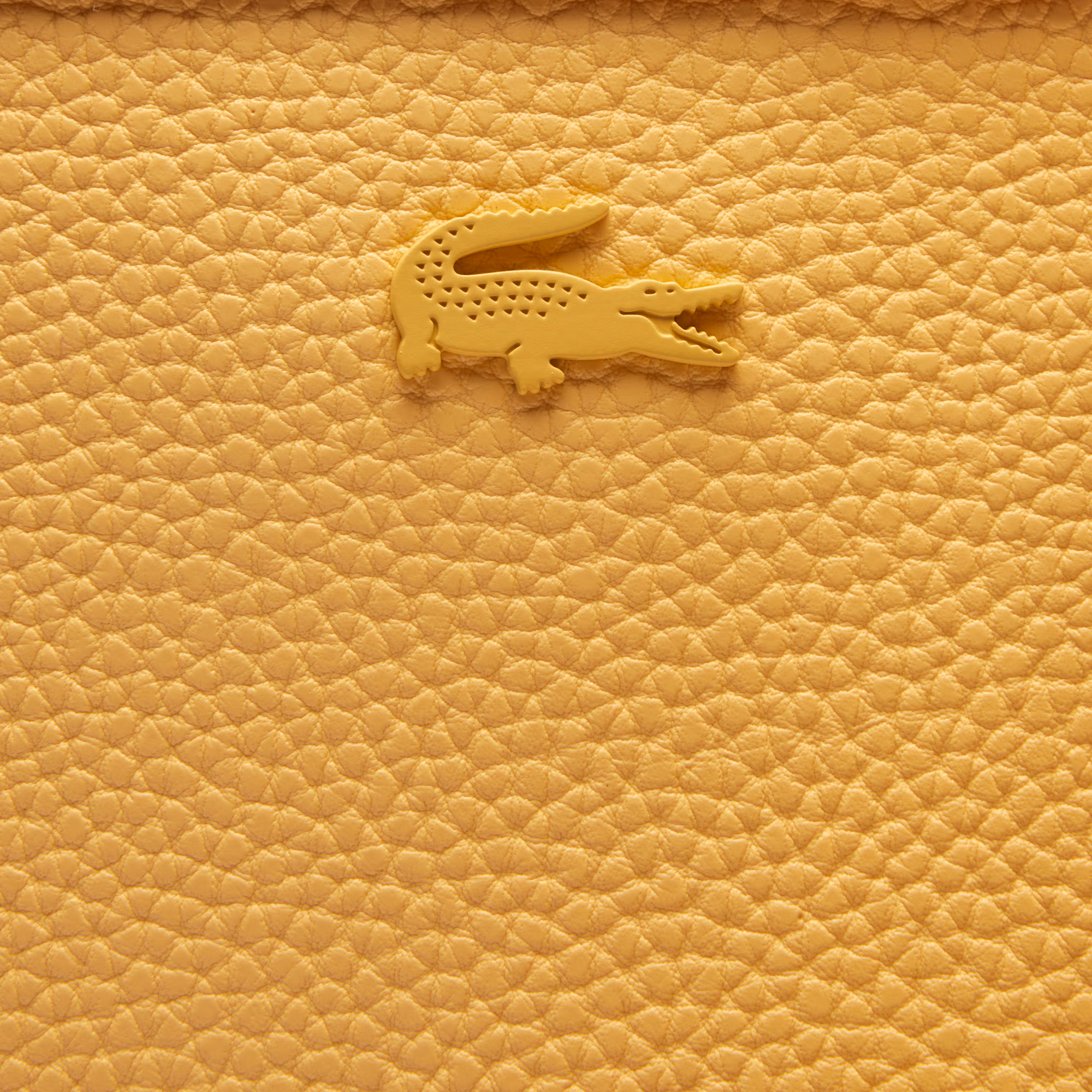 Anna Reversible Tote & Pouch