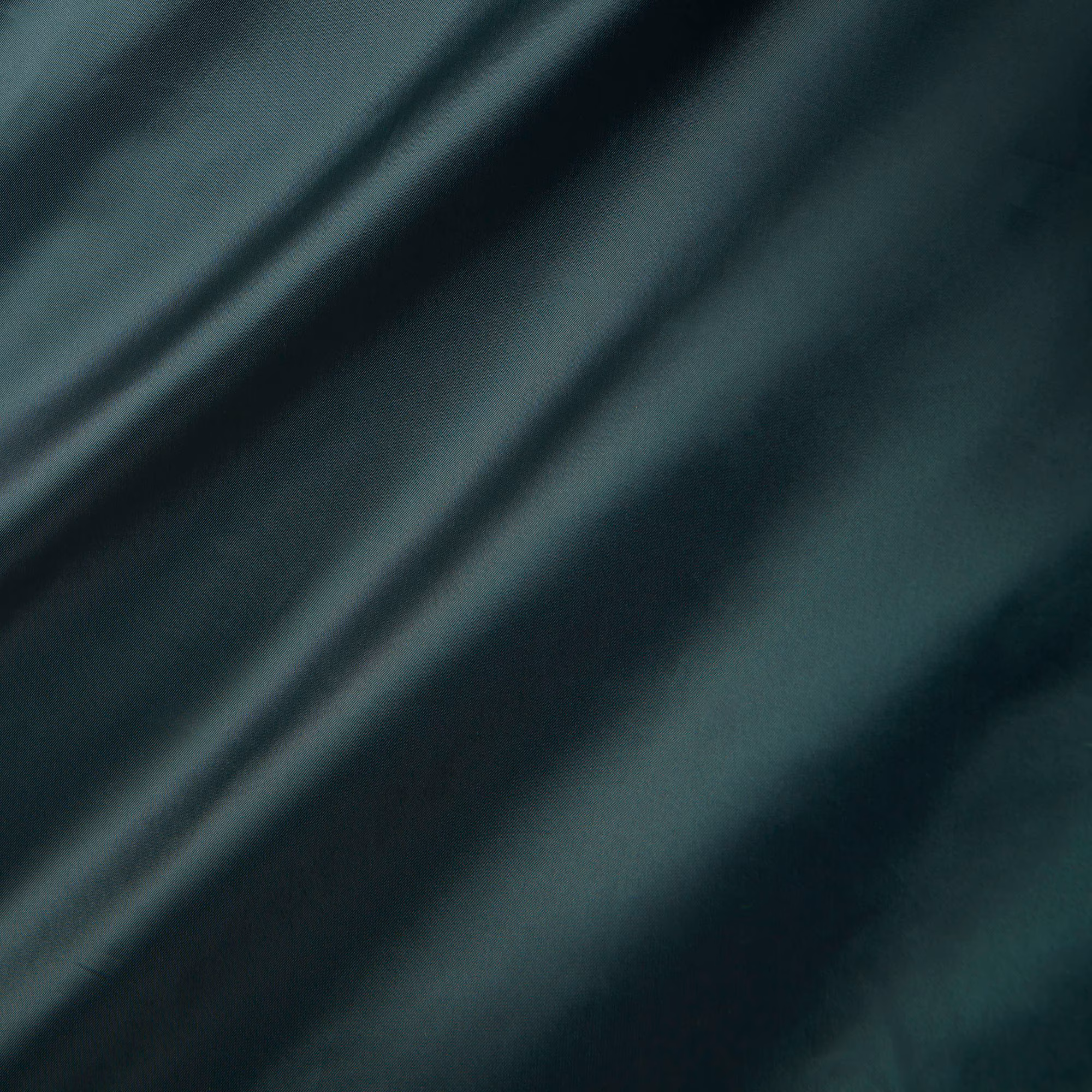 Runway Long Iridescent Puffed Jacket