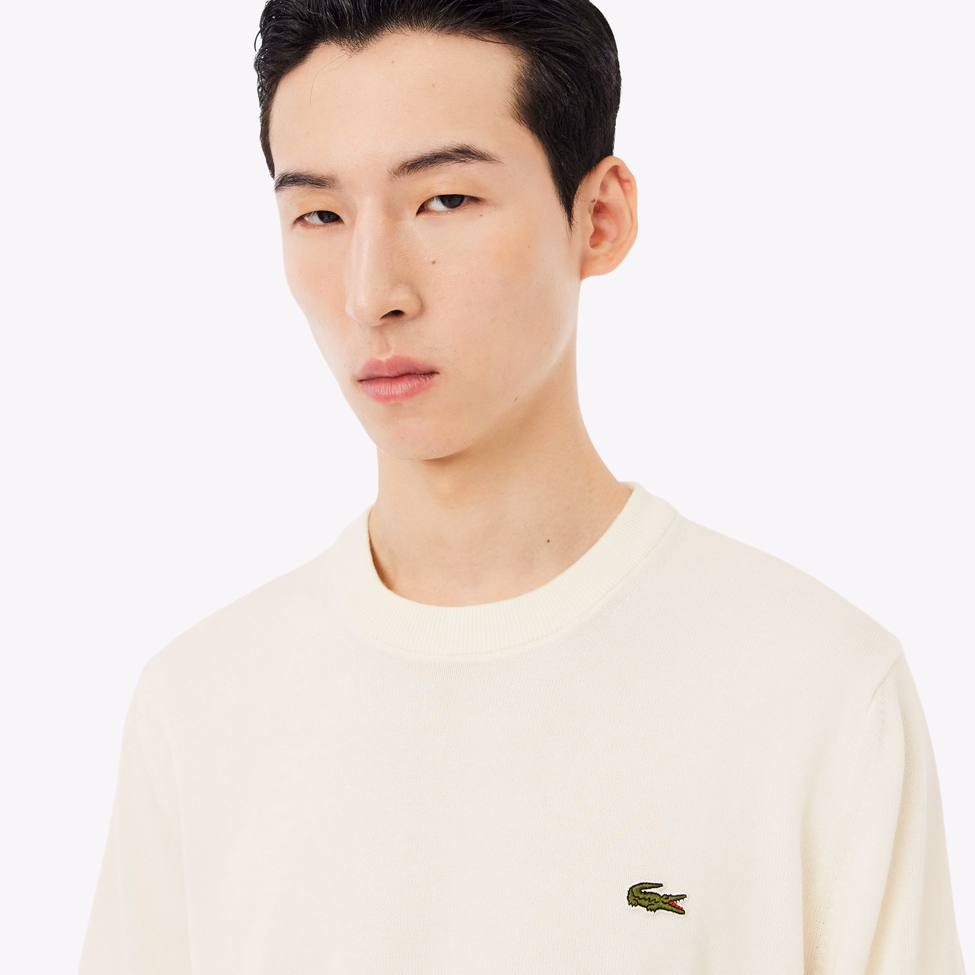 Men's Crew Neck Cotton Sweater