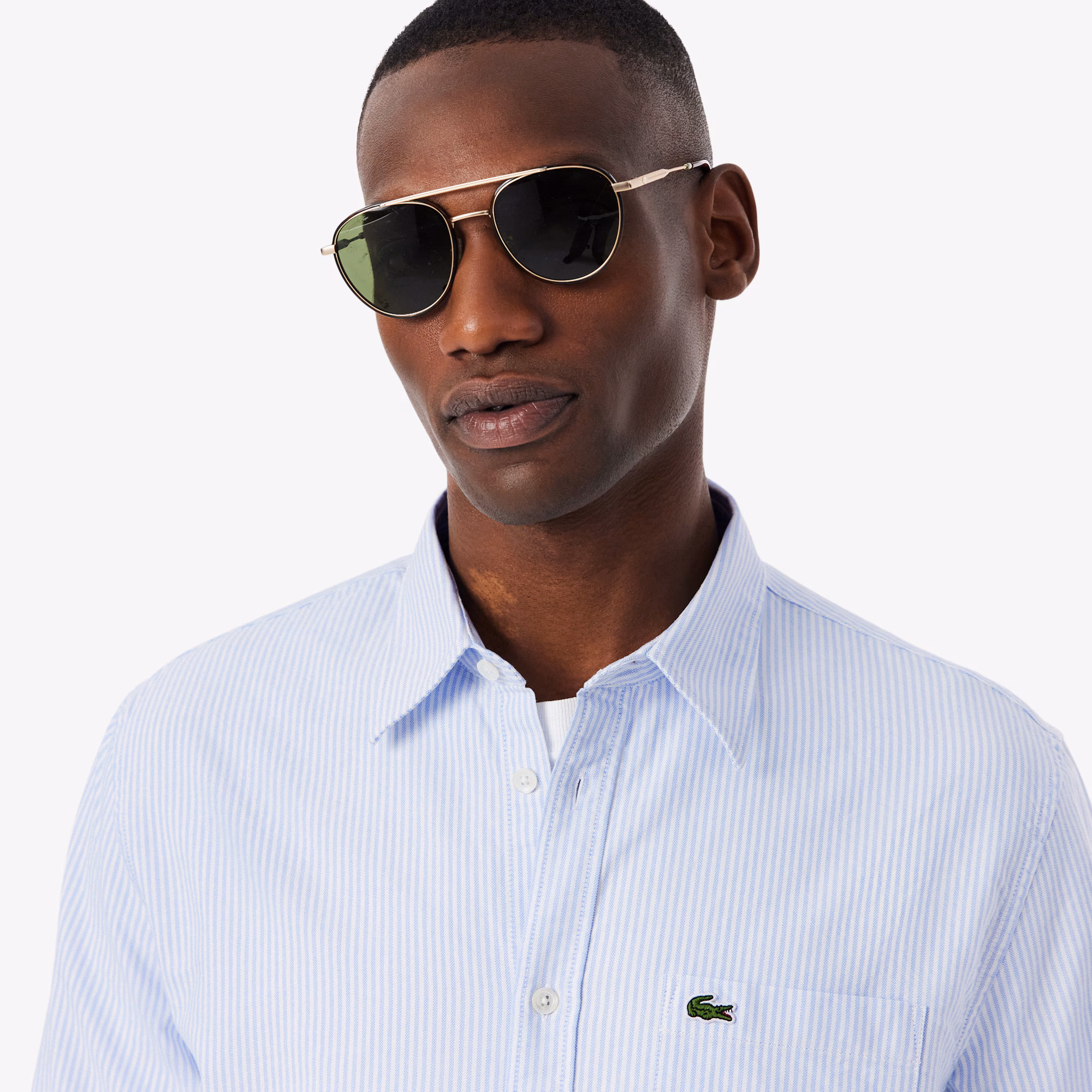 Men's Regular Fit Striped Oxford Shirt