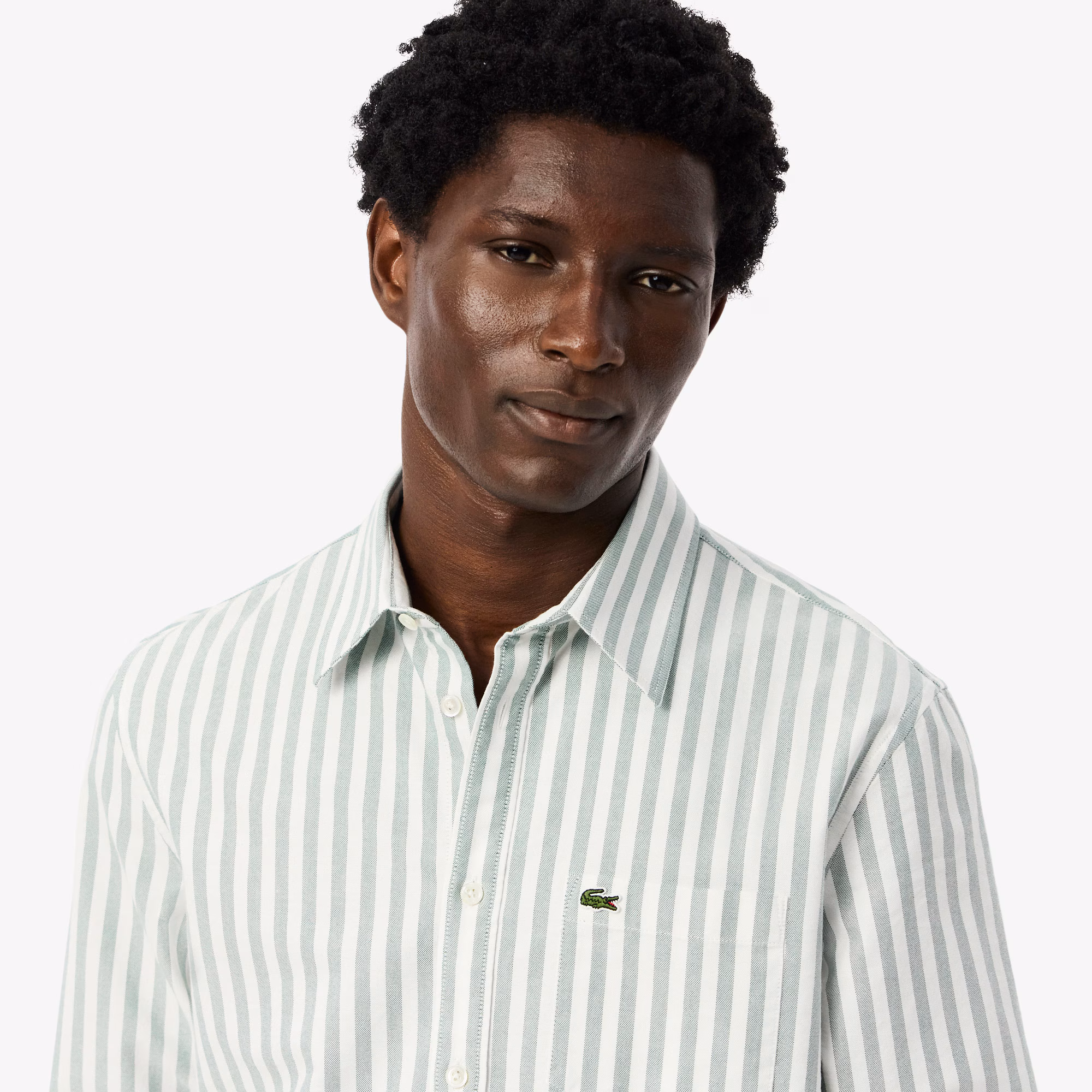 Men's Regular Fit Striped Oxford Shirt