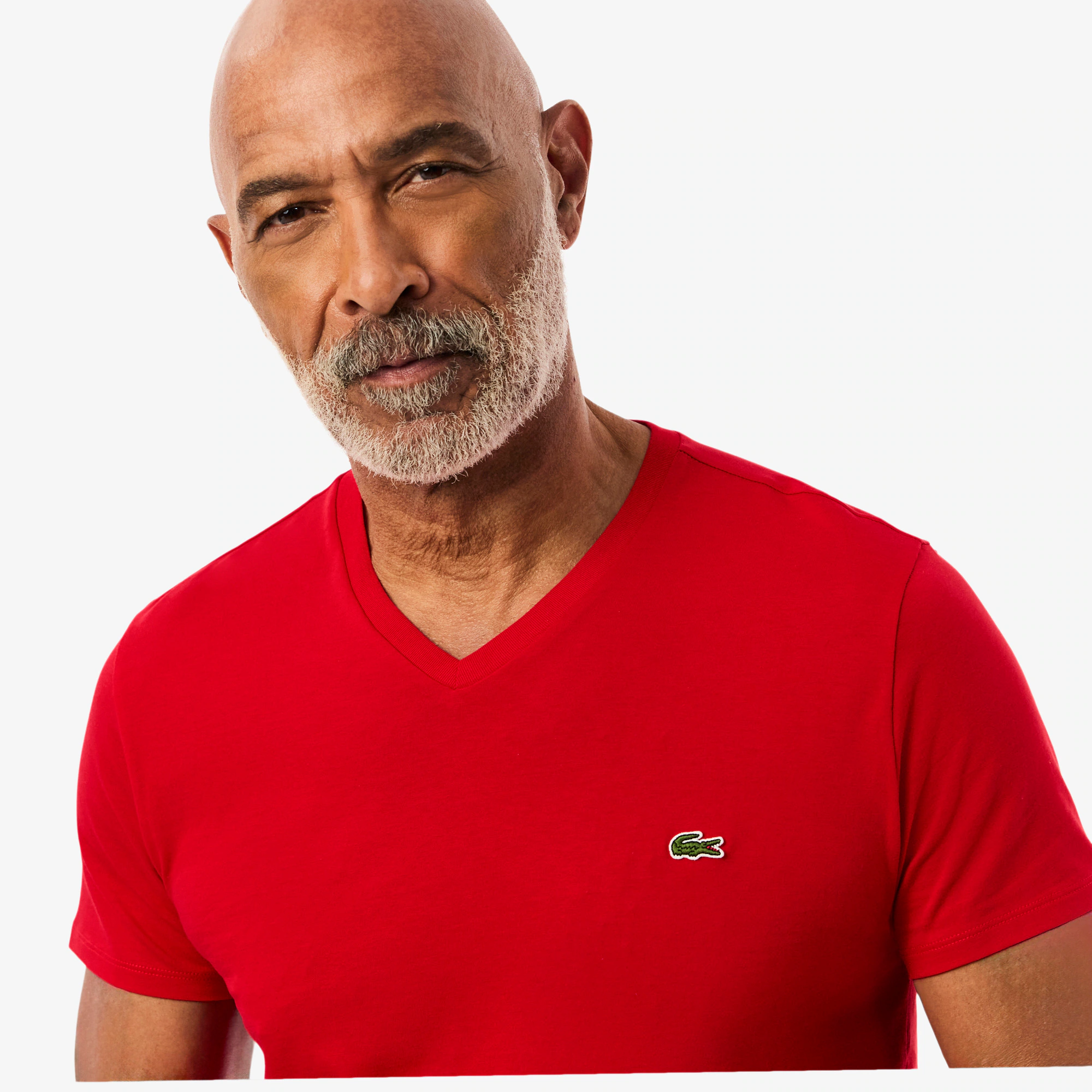 Men's Lightweight Pima Cotton V-Neck T-Shirt