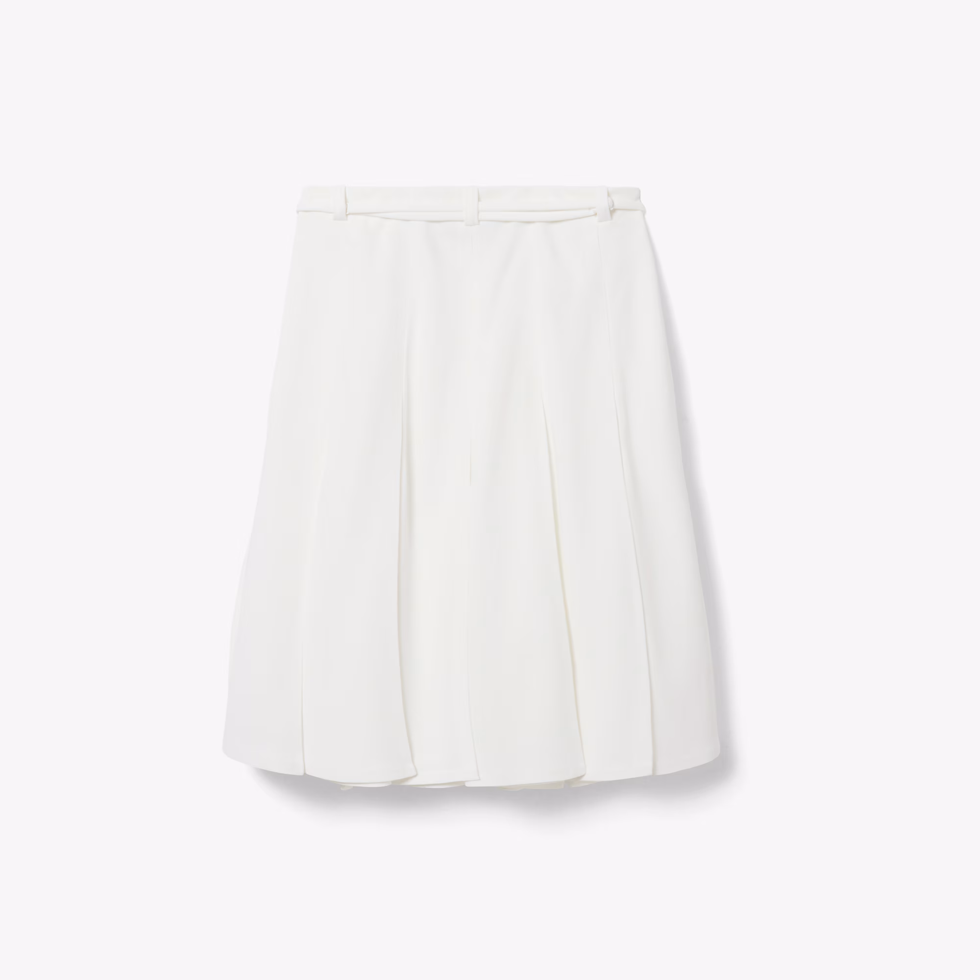 Runway Fluid Pleated Skirt