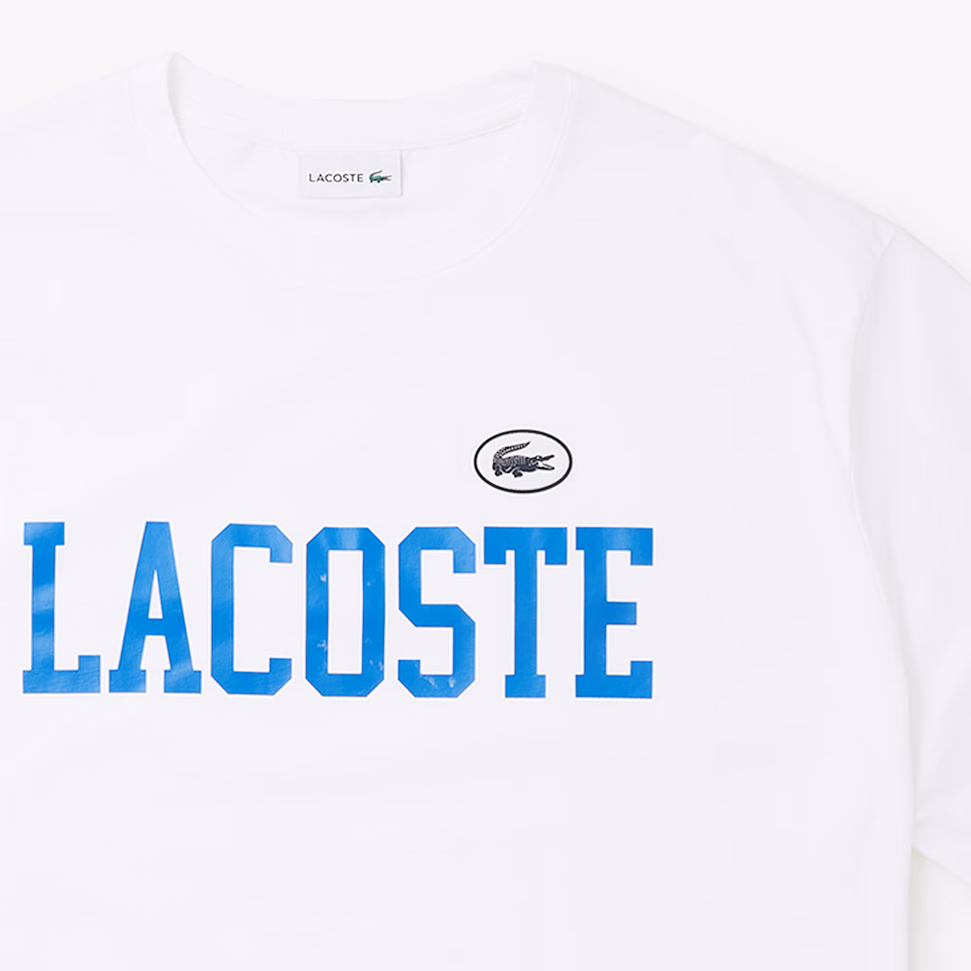 Cotton Jersey T-shirt – Plus Size – Tall