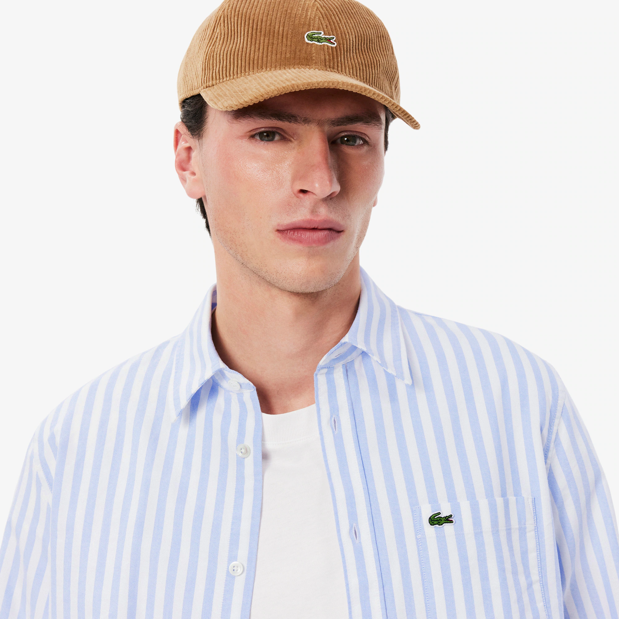 Men's Regular Fit Striped Oxford Shirt
