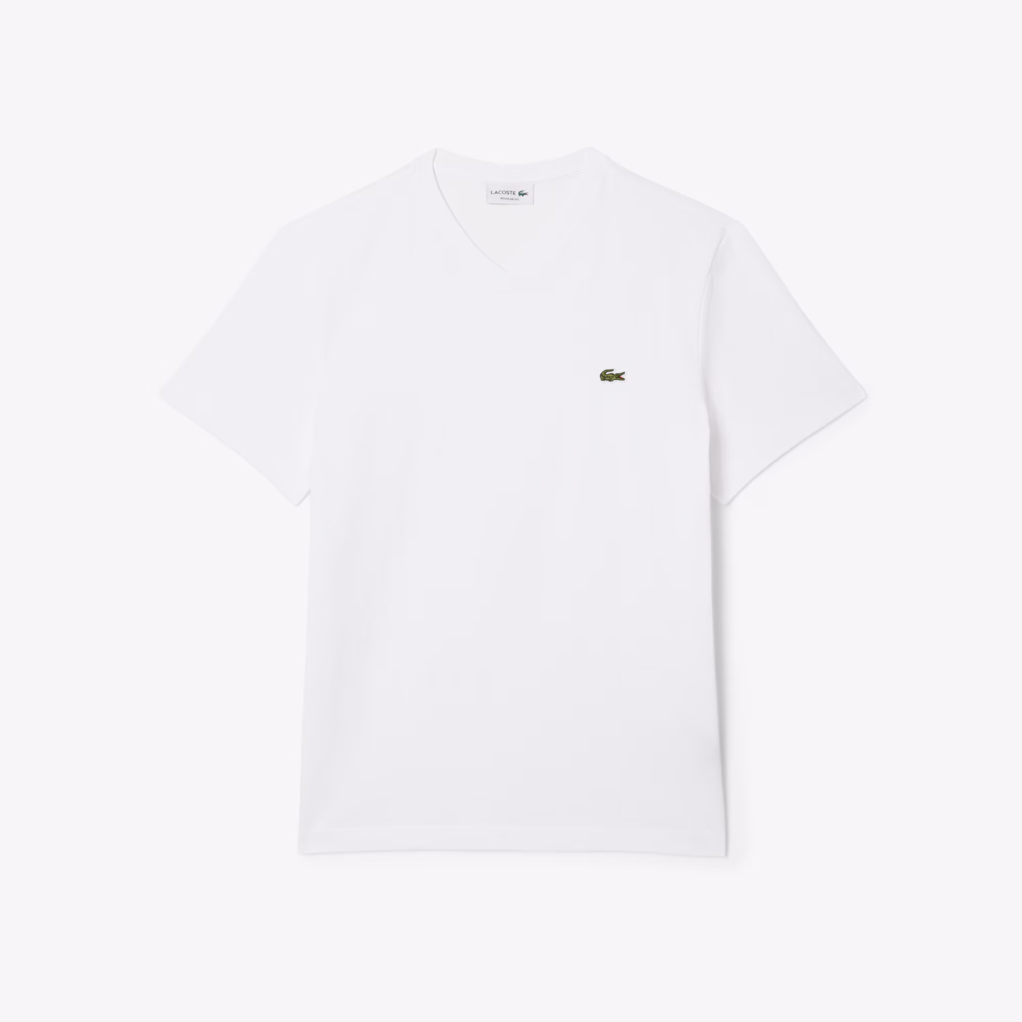 Men's V-Neck Cotton T-Shirt