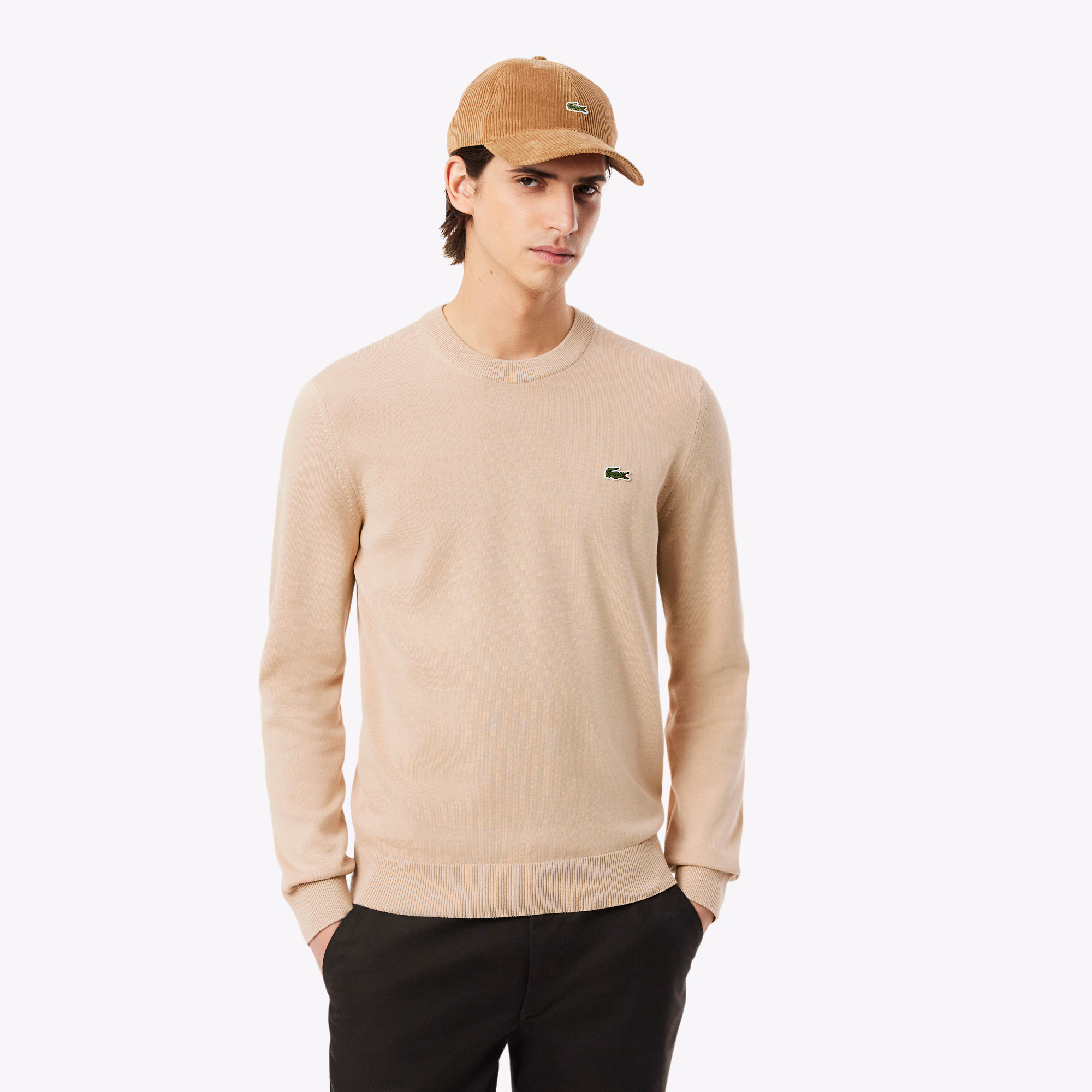 Men's Crew Neck Cotton Sweater