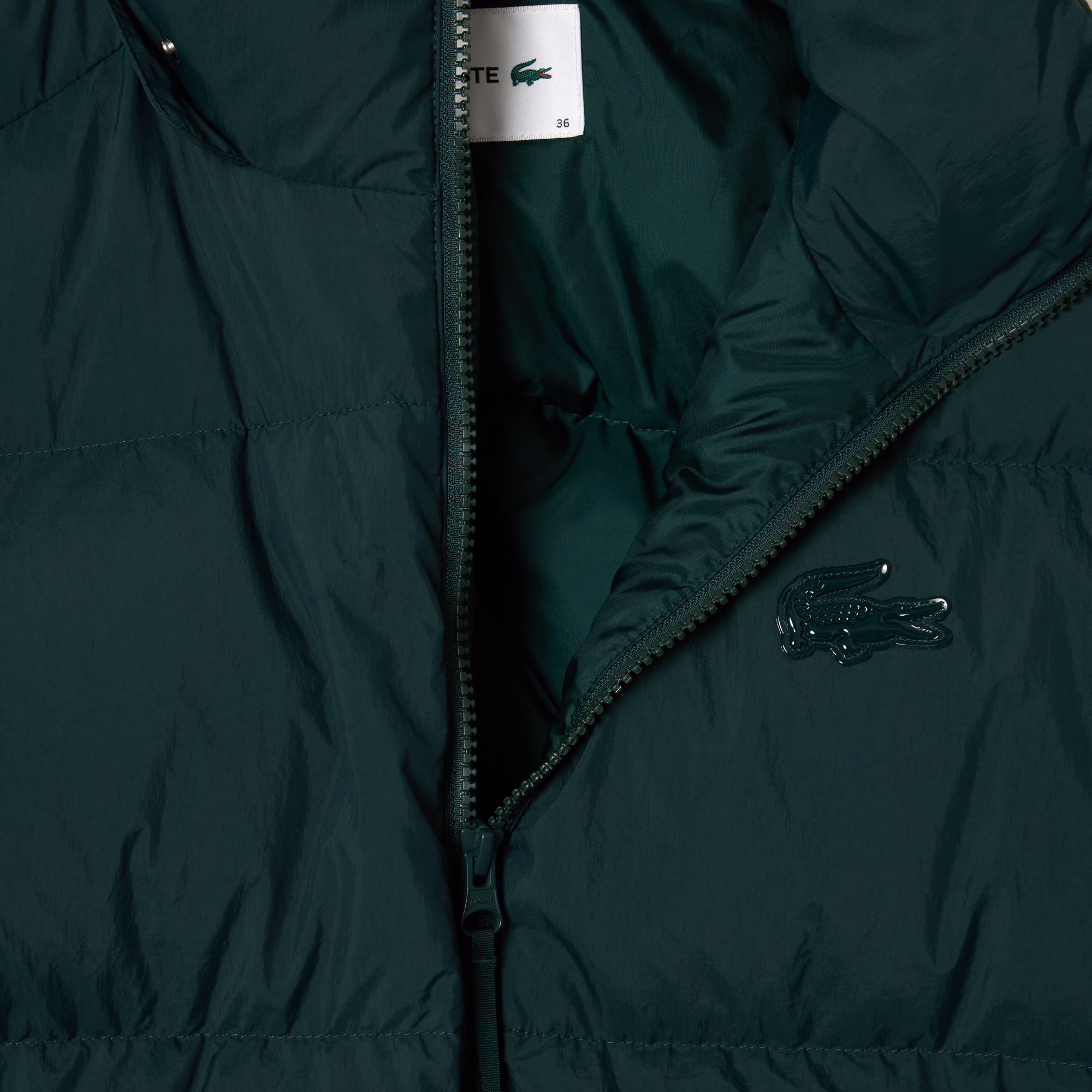 Women's Relaxed Fit Hooded Down Jacket