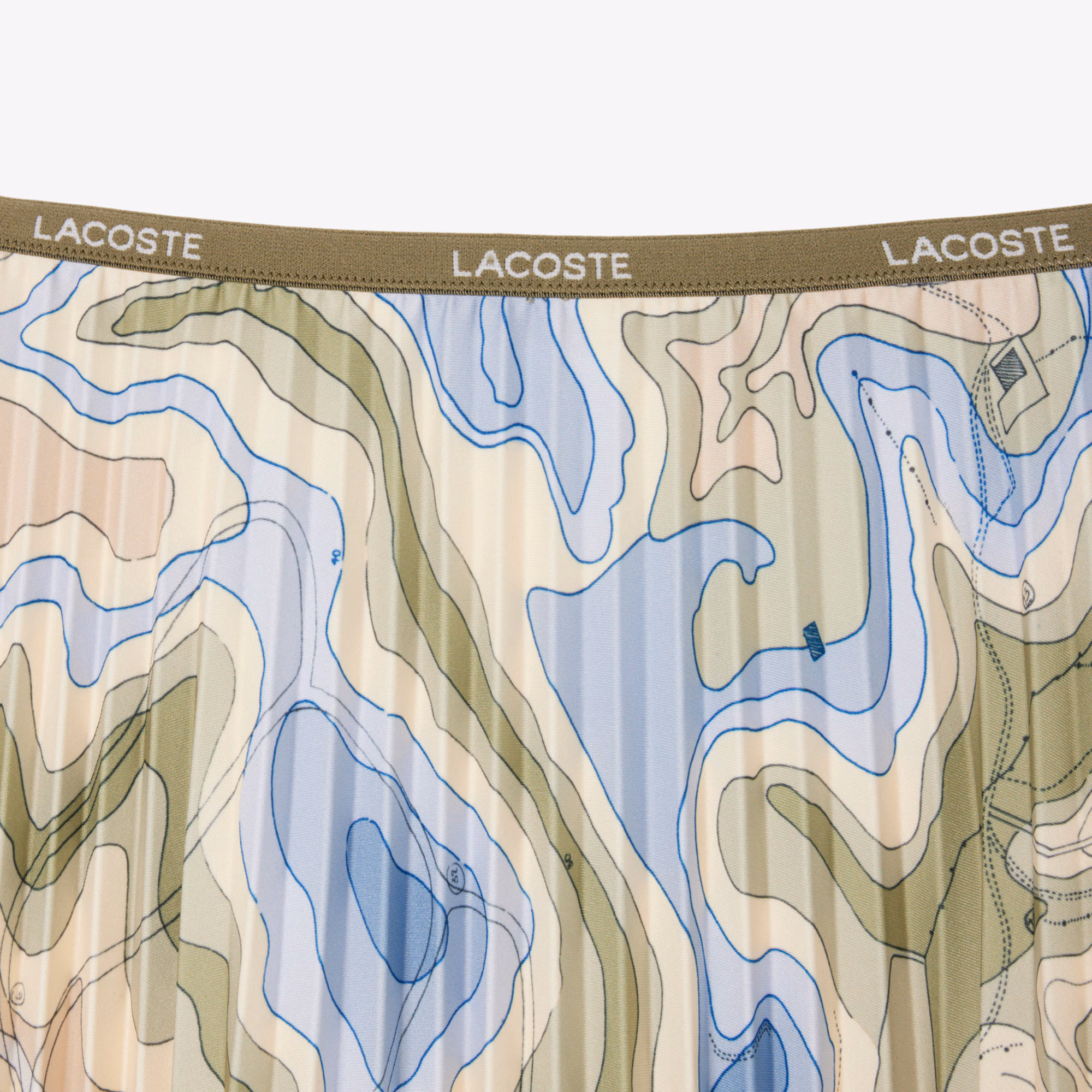 Women's Topography Print Pleated Skirt