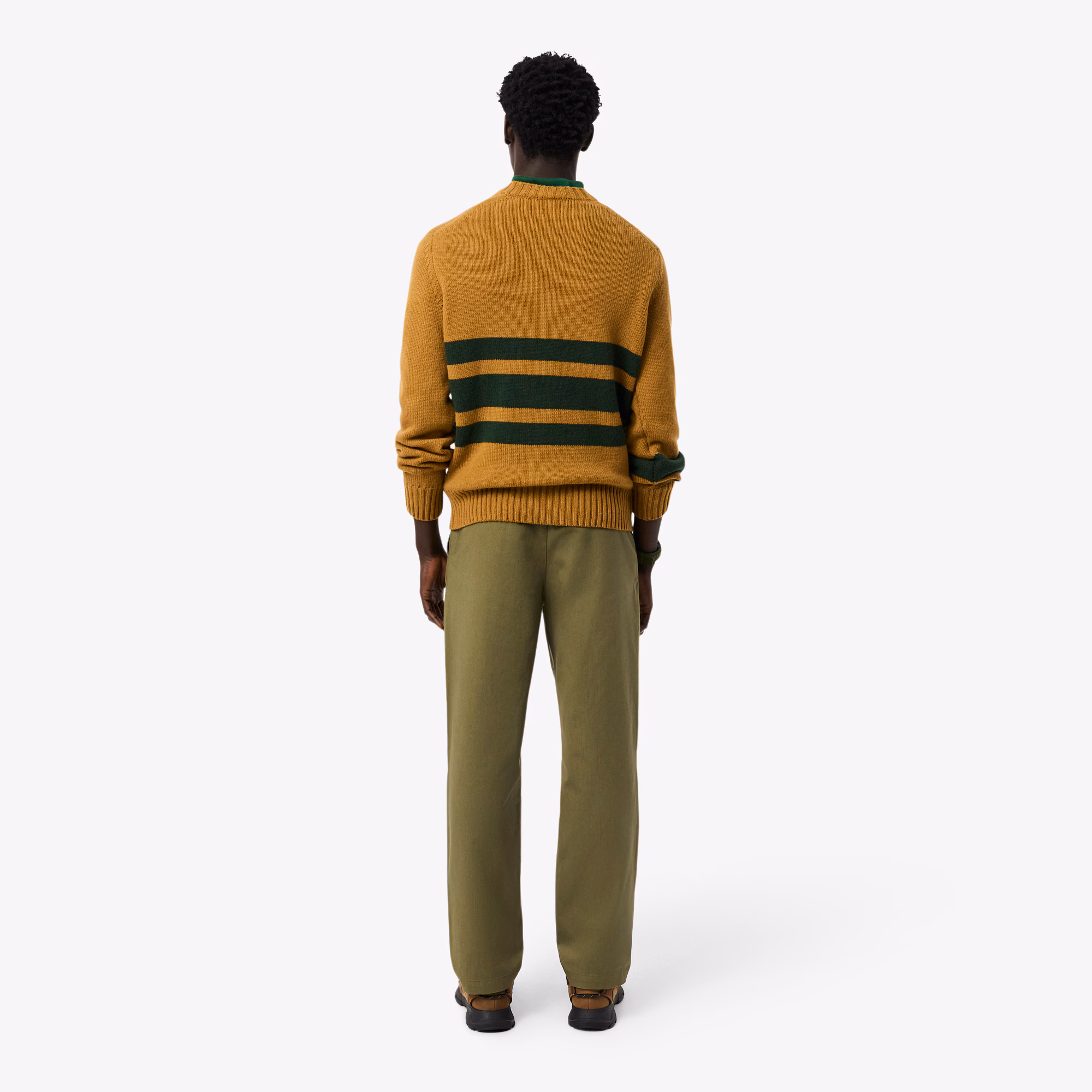 Men's Regular Fit Cotton Chino Pants