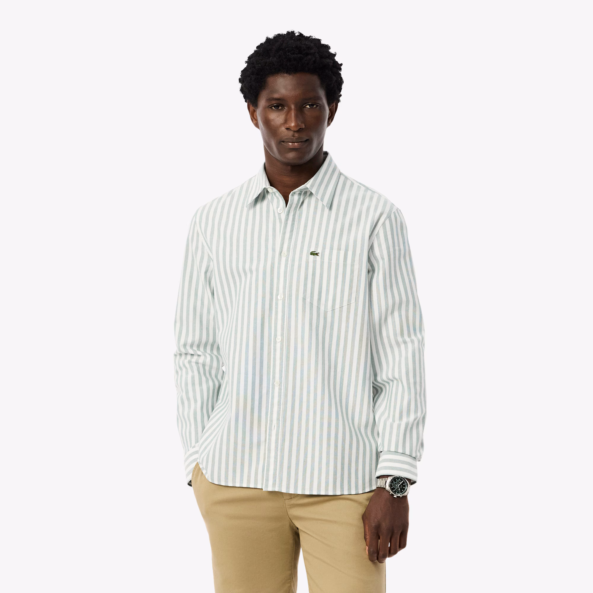 Men's Regular Fit Striped Oxford Shirt