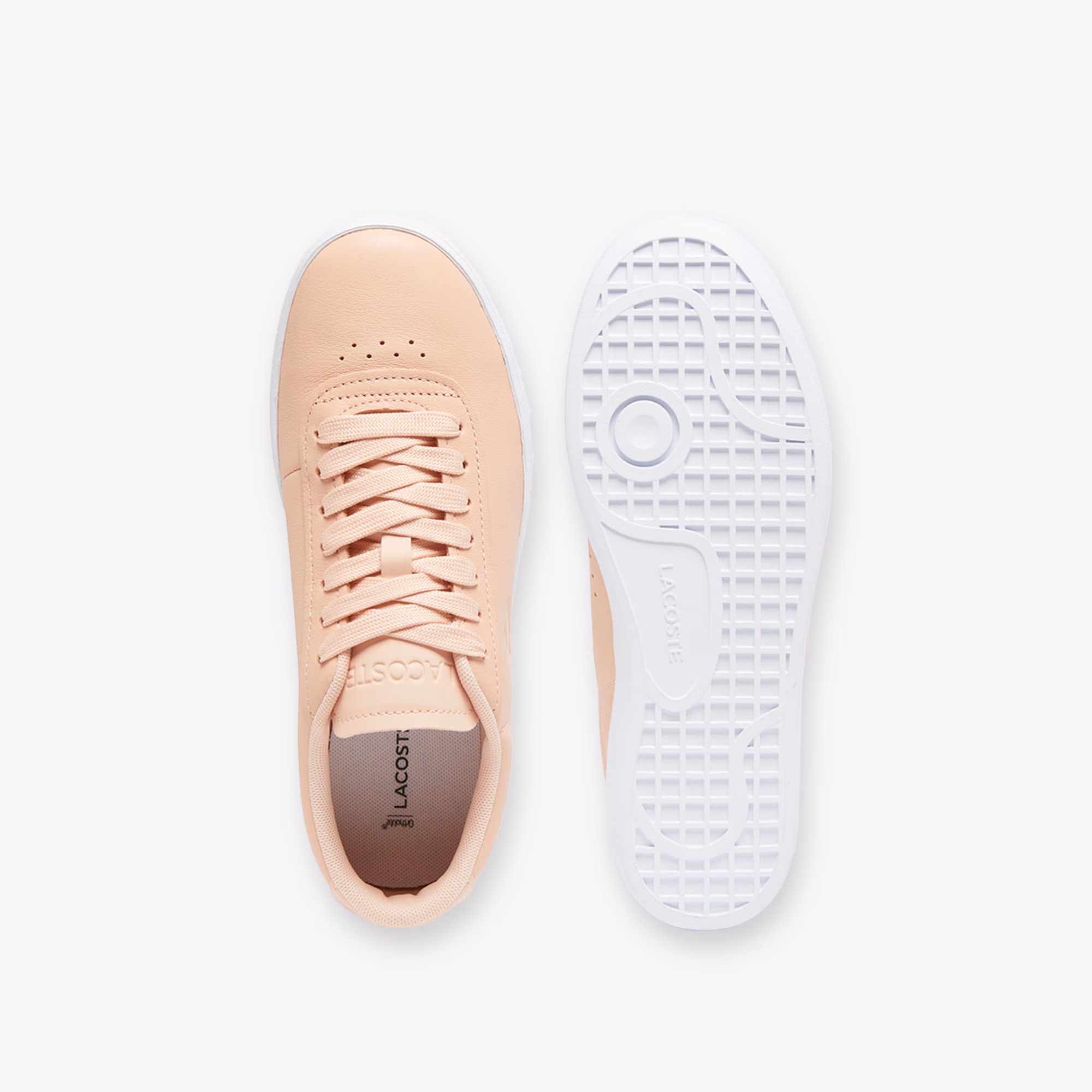 Women's Baseshot Evo Leather Sneakers