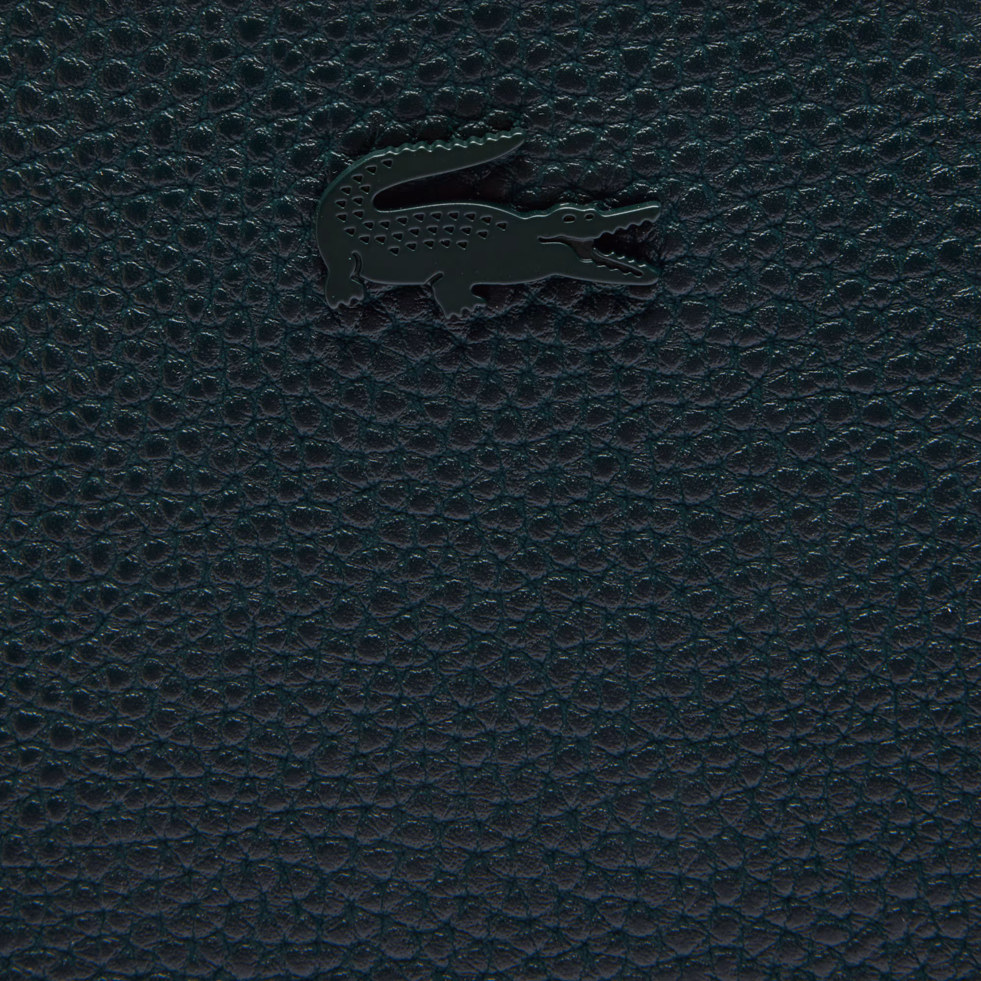 Anna Reversible Tote & Pouch