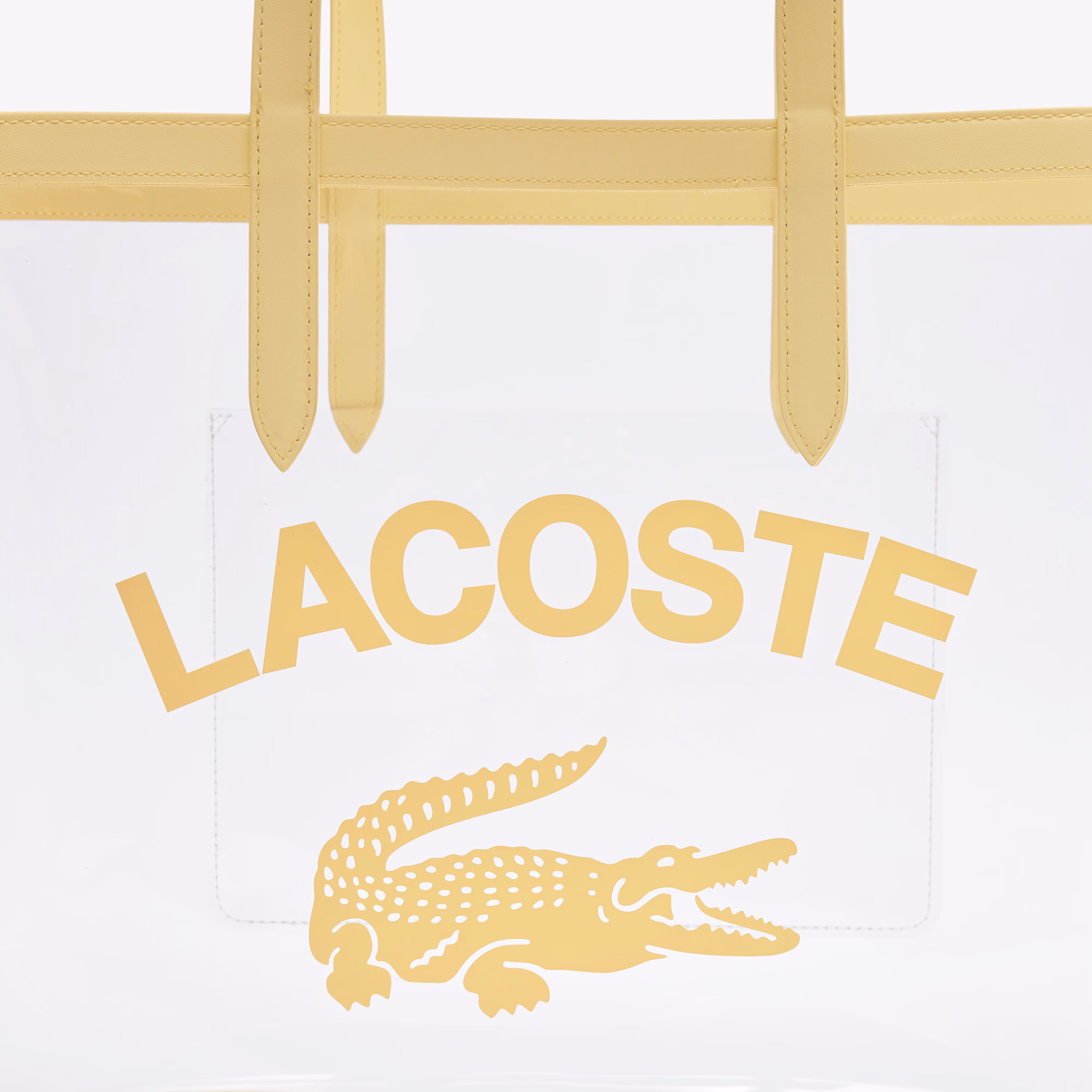 Anna Transparent Tote Bag