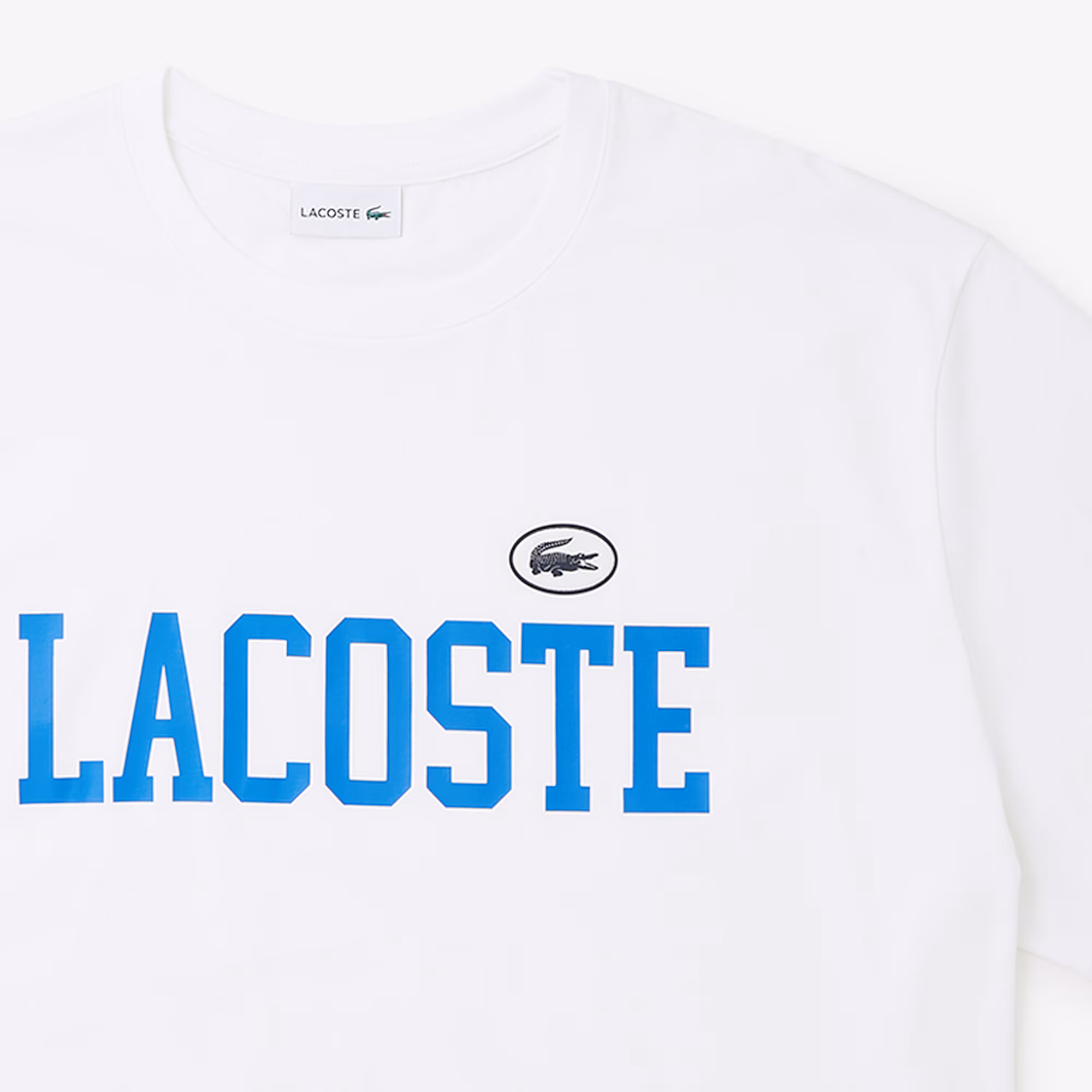 Cotton Jersey T-shirt – Plus Size – Big