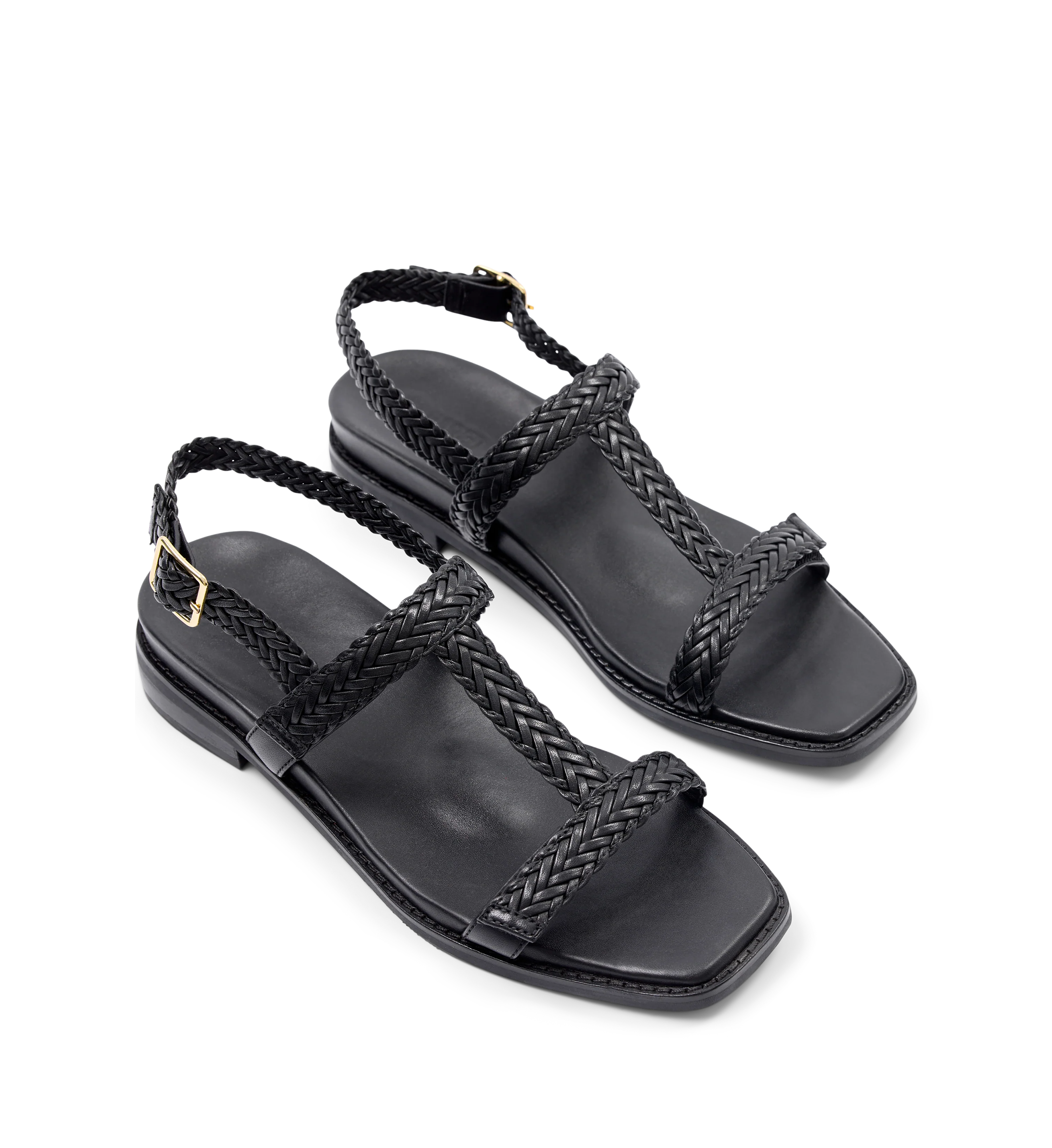 Anhinga Black Leather Sandals