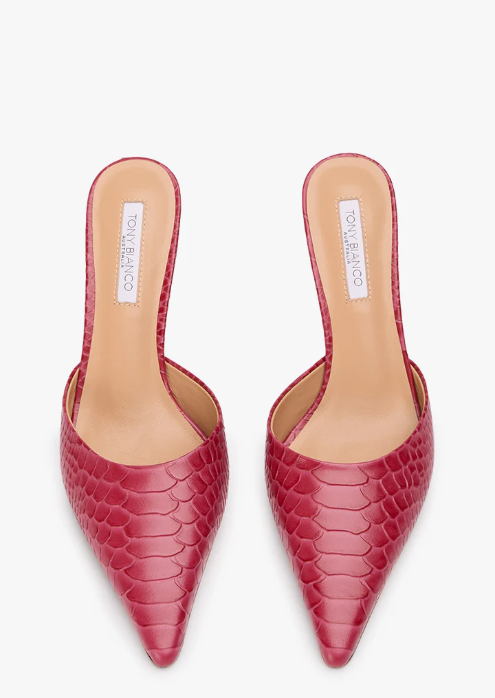 Sicily Scarlet Python