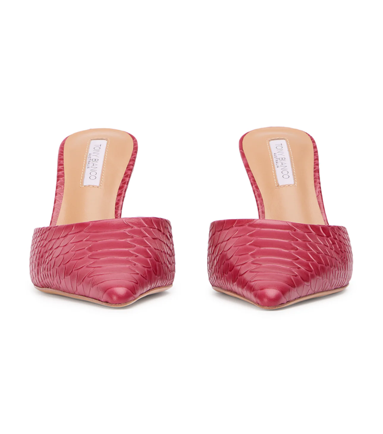 Sicily Scarlet Python