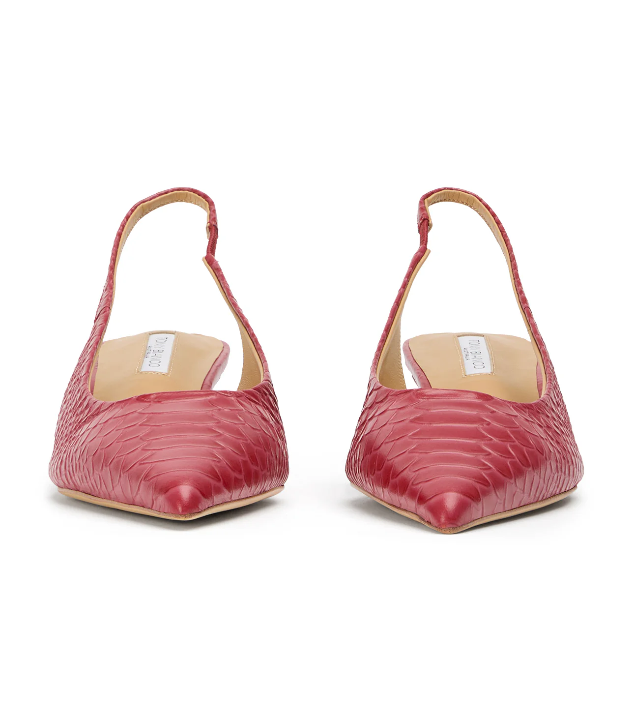 Catie Scarlet Python