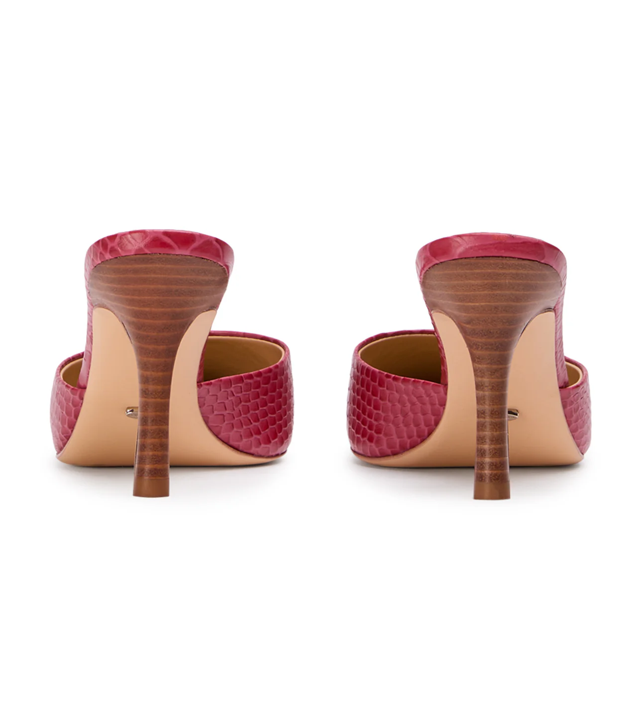 Sicily Scarlet Python