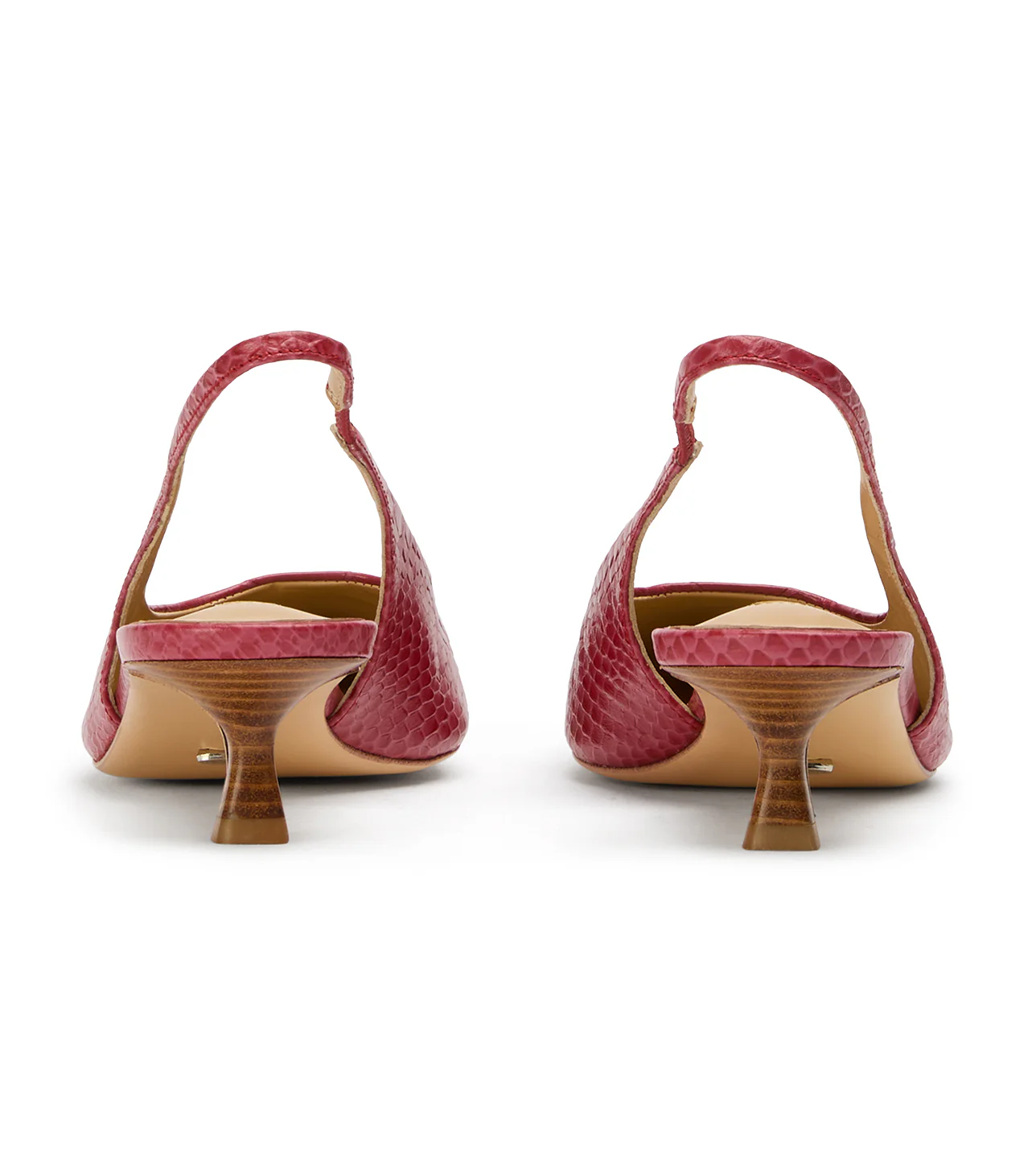 Catie Scarlet Python