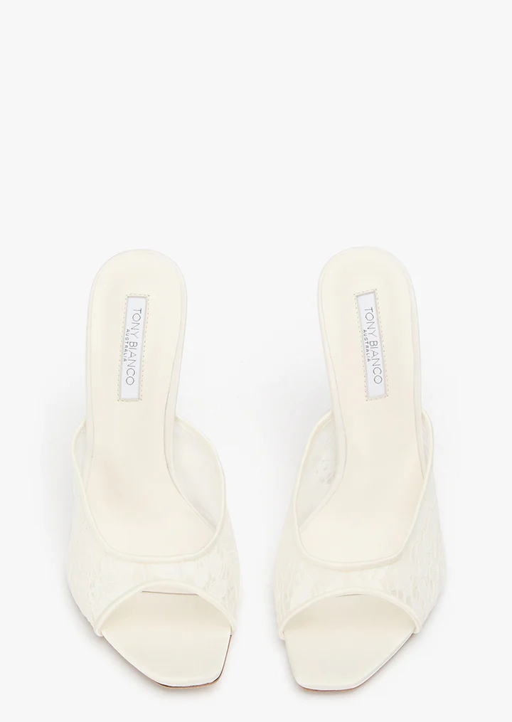 Dashing Ivory Brocade