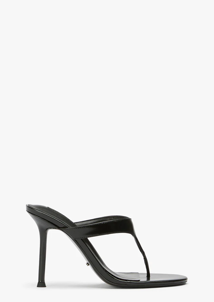 Dynasty Black Hi Shine