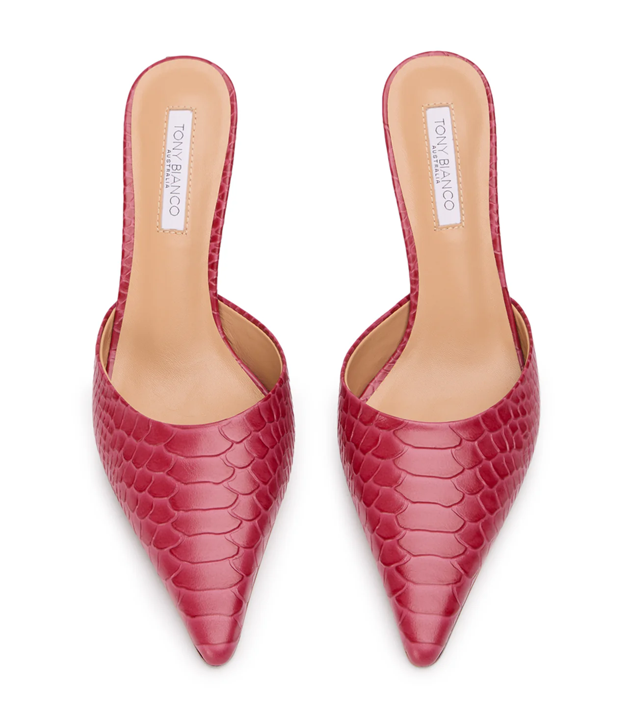 Sicily Scarlet Python