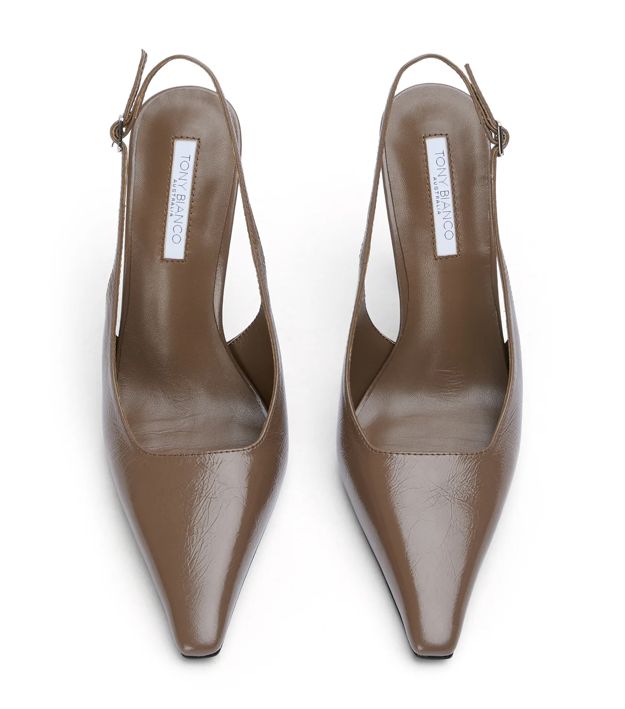 Sassy Liqueur Crinkle