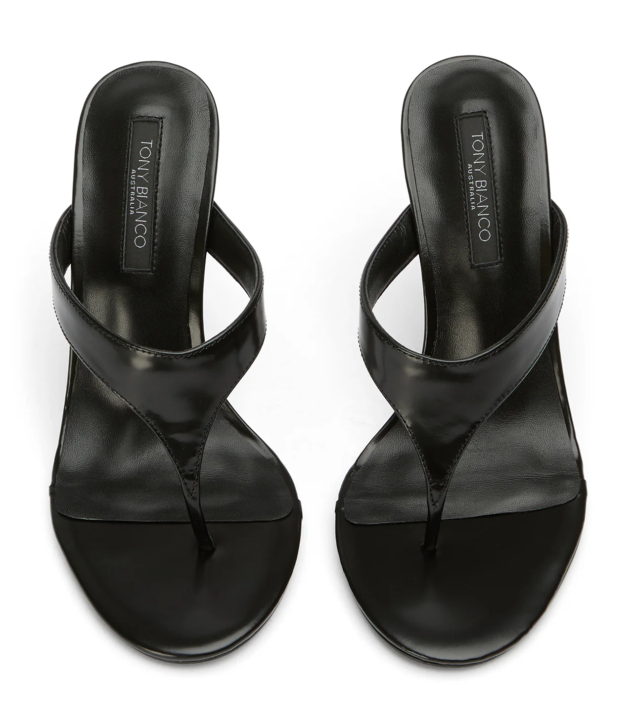 Dynasty Black Hi Shine