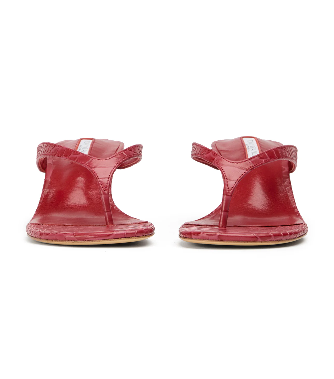 Krista Scarlet Python