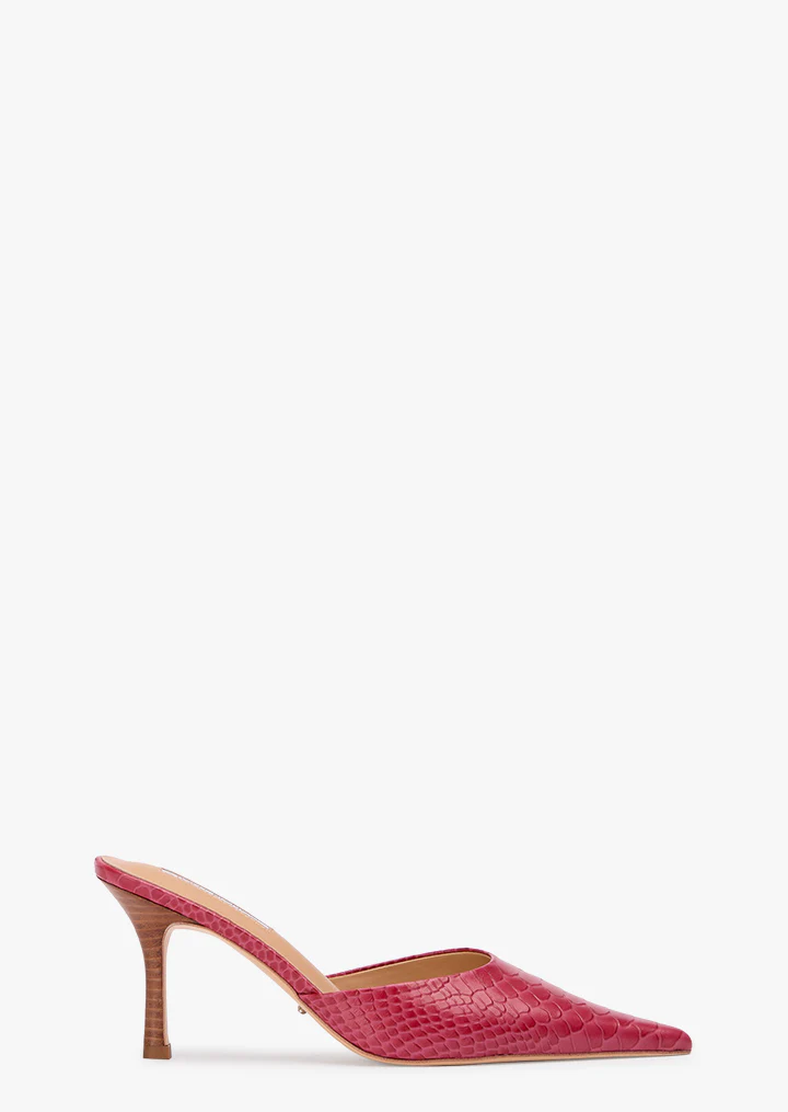 Sicily Scarlet Python