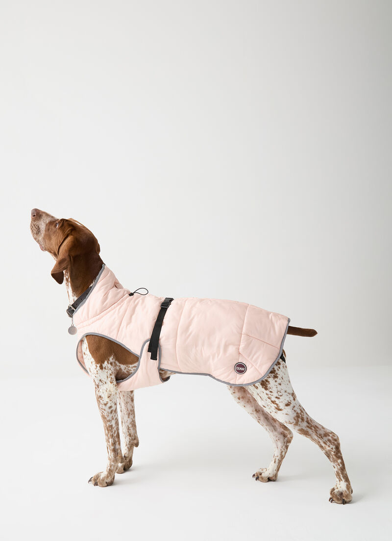 Padded jacket for dogs