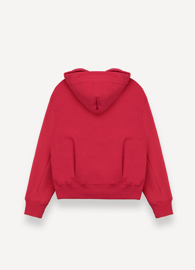 Hooded sweatshirt with darts