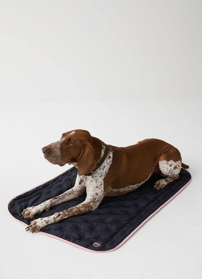 Non-slip mat for dogs