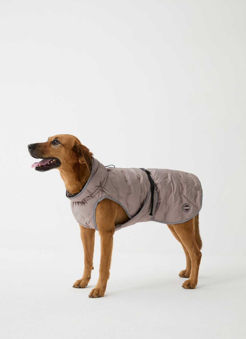 Padded jacket for dogs