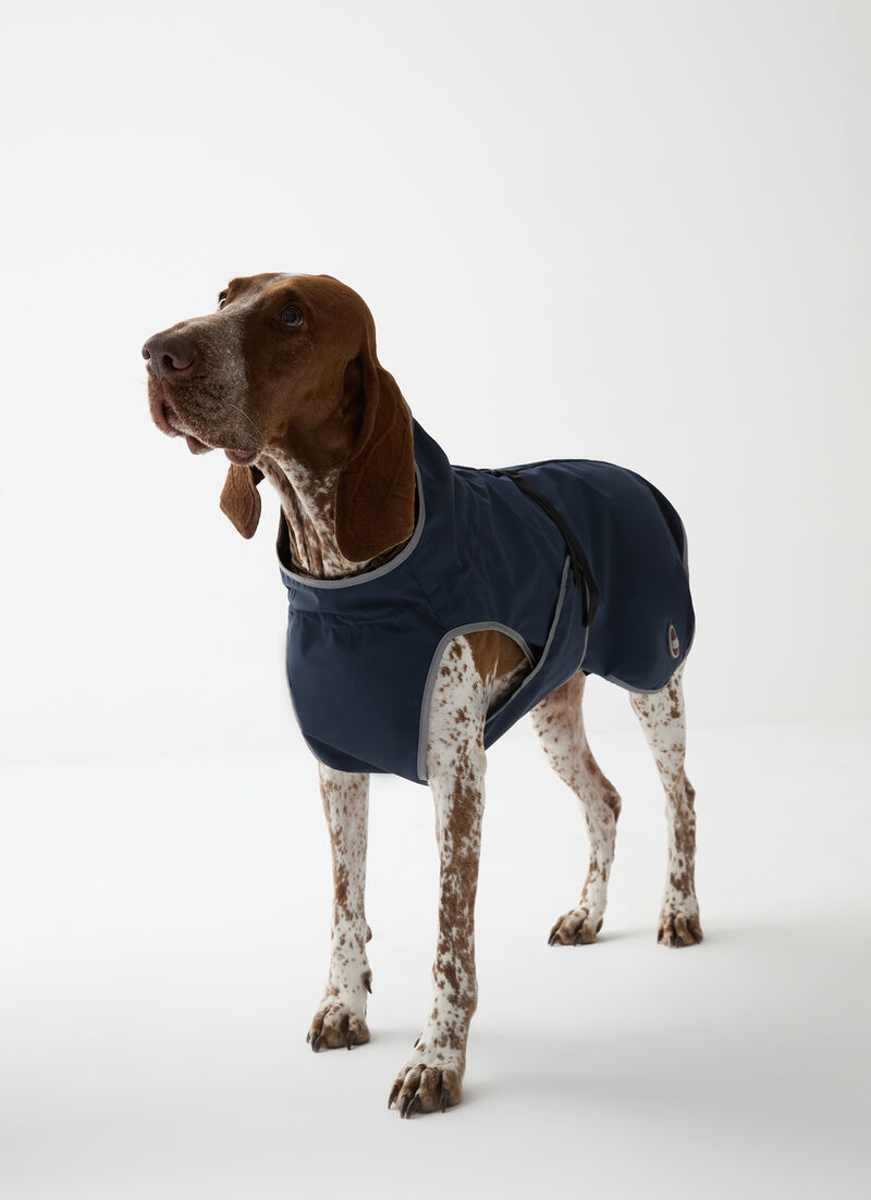 Waterproof jacket for dogs